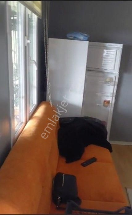 Kestel Kozluören'de Hazır Kurulu 608 M2 Kullanım Alanlı Bahçe - Görsel 9