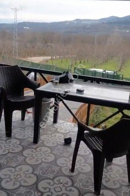 Kestel Kozluören'de Hazır Kurulu 608 M2 Kullanım Alanlı Bahçe - Görsel 13