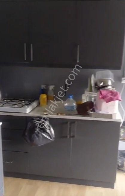 Kestel Kozluören'de Hazır Kurulu 608 M2 Kullanım Alanlı Bahçe - Görsel 12