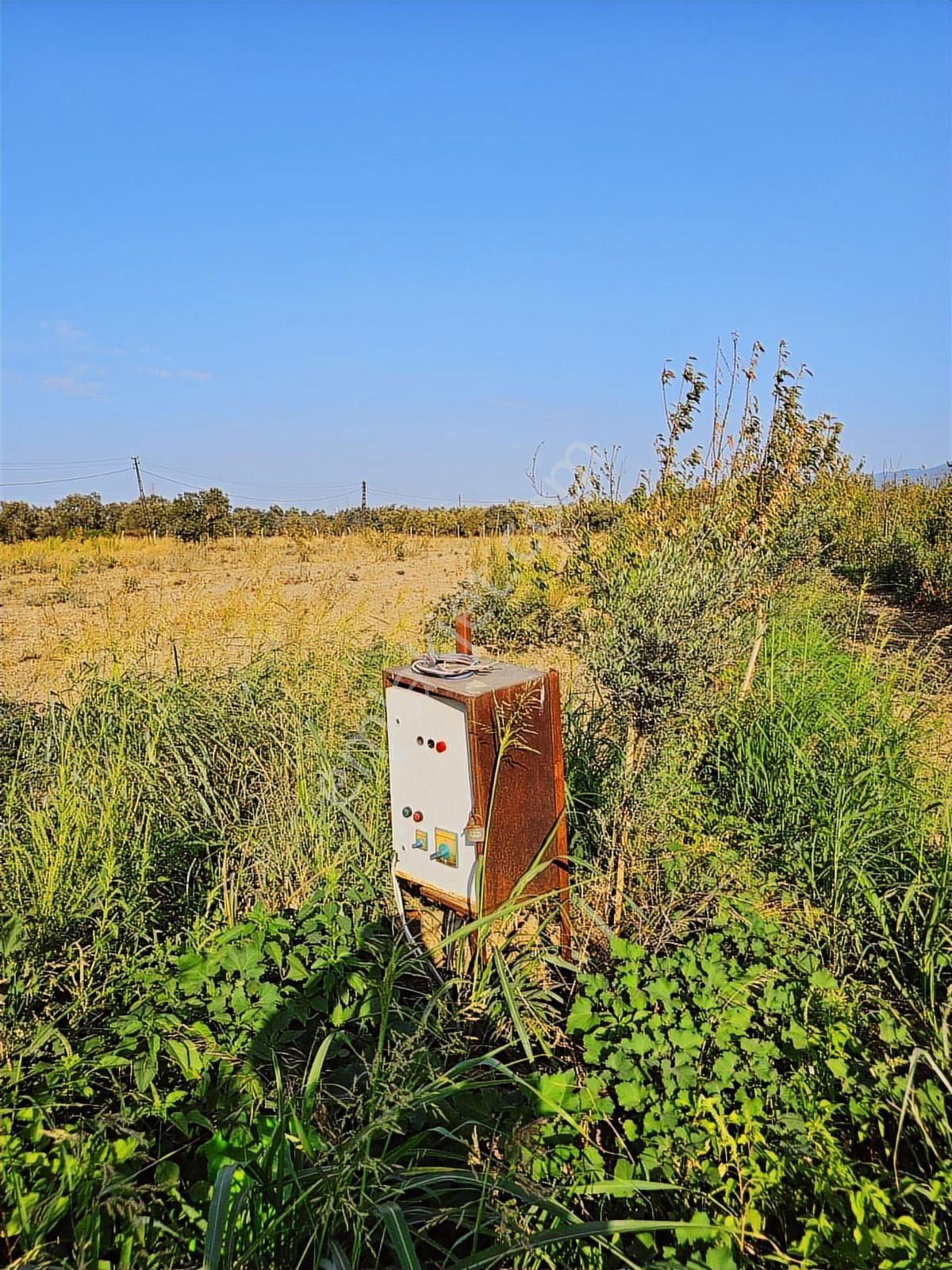Kemalpaşa Armutluda Satılık Tarla 3kişide Ayrı Ayrı Tapu Alabilr - Görsel 8
