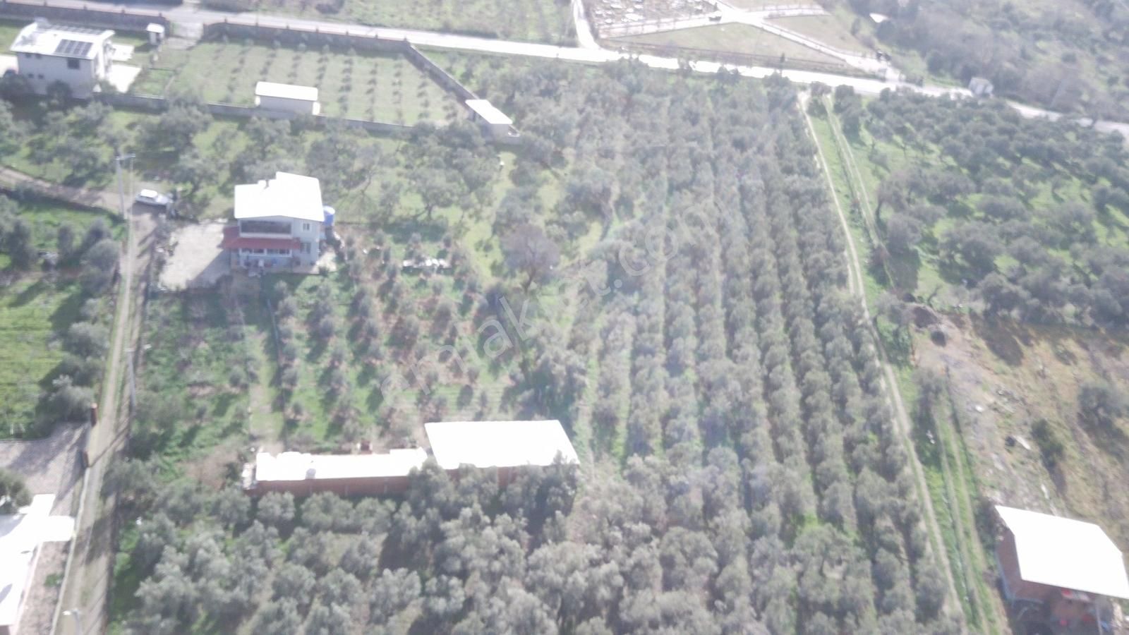 İzmir Kemalpaşa Örende Satılık Bahçeli 2 Katlı Ev Ana Yola Yakın - Görsel 6