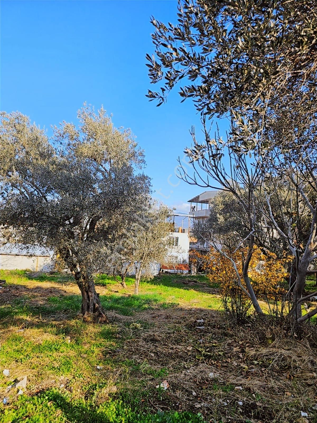 İzmir Kemalpaşa Örnek Köyde Satılık Konut İmarlı Arsa - Görsel 5