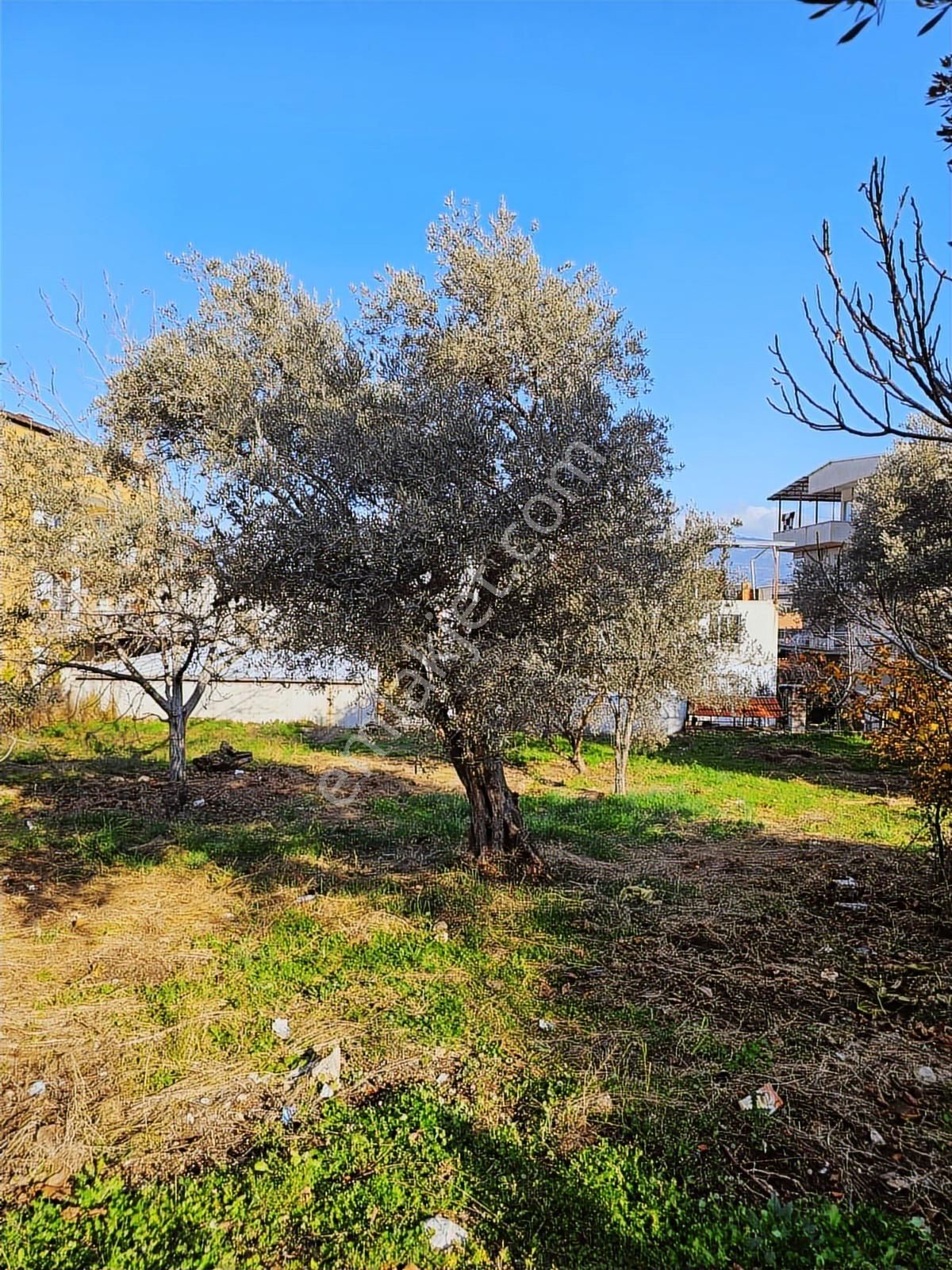 İzmir Kemalpaşa Örnek Köyde Satılık Konut İmarlı Arsa - Görsel 8