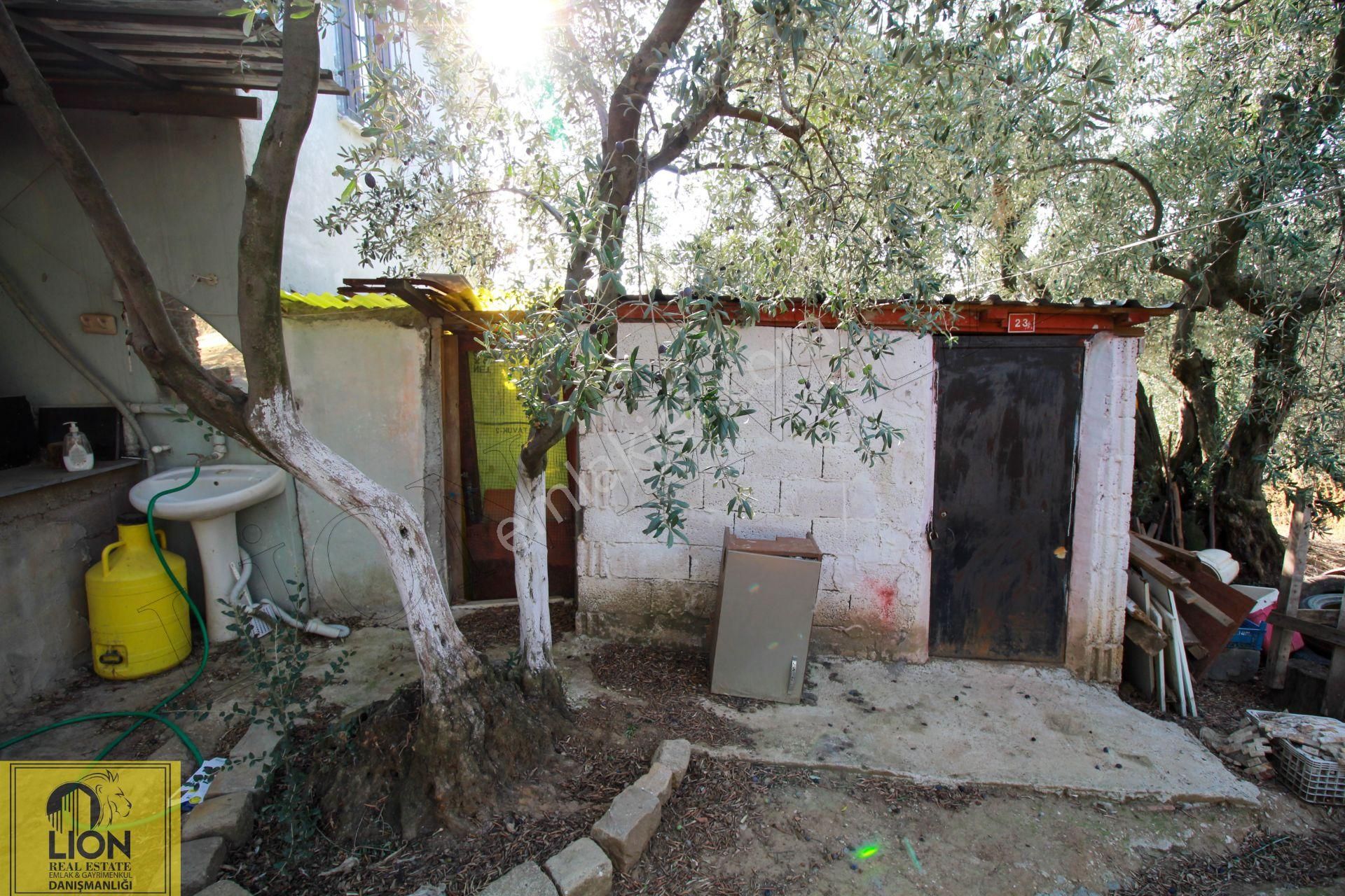 🟨⬛lıon Emlak'tan Erdek Atatürk Mahallesinde 1092 M² Zeytinlik İçerisinde Deniz Manzaralı Ev⬛🟨 - Görsel 19