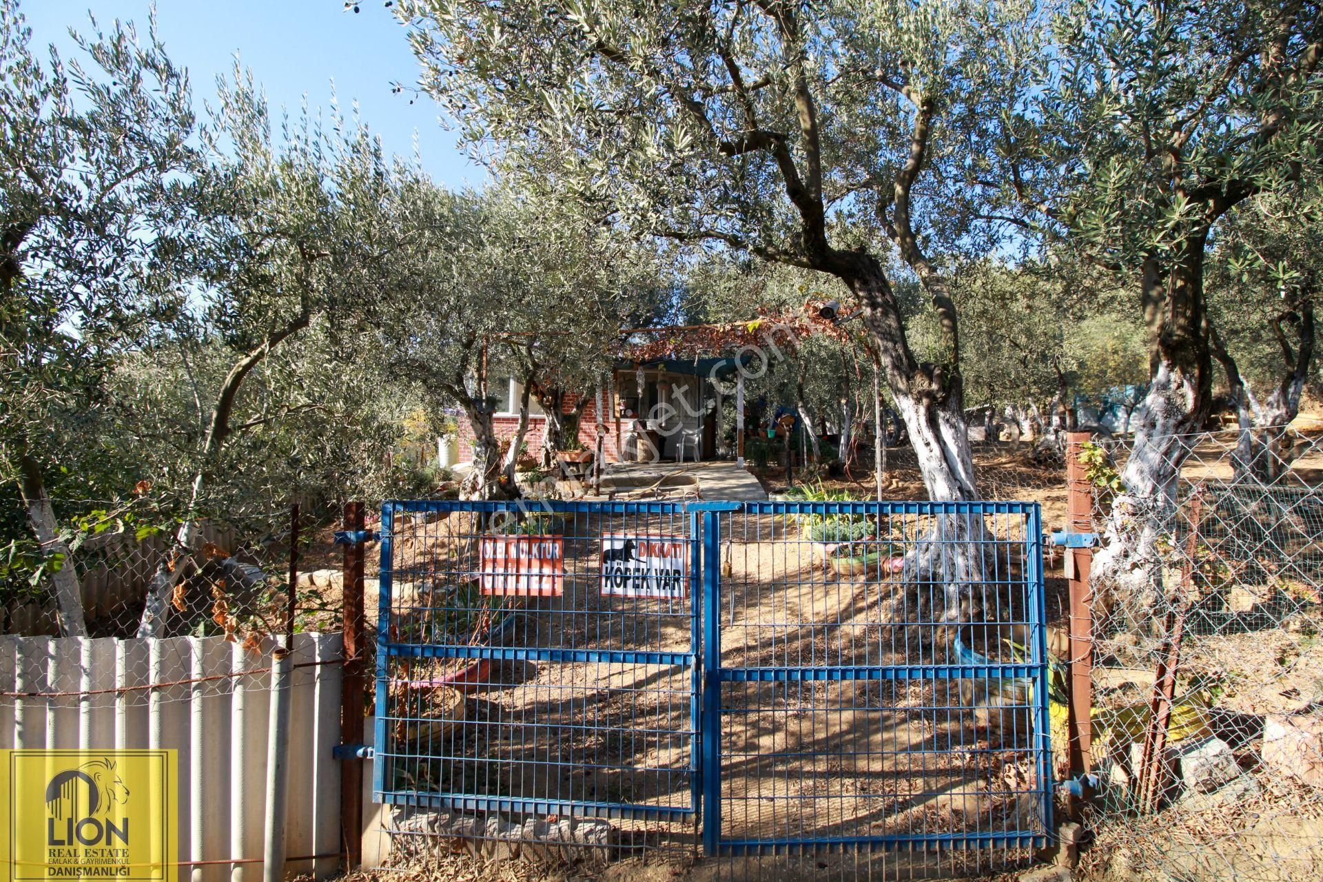 🟨⬛lıon Emlak'tan Erdek Atatürk Mahallesinde 1092 M² Zeytinlik İçerisinde Deniz Manzaralı Ev⬛🟨 - Görsel 25