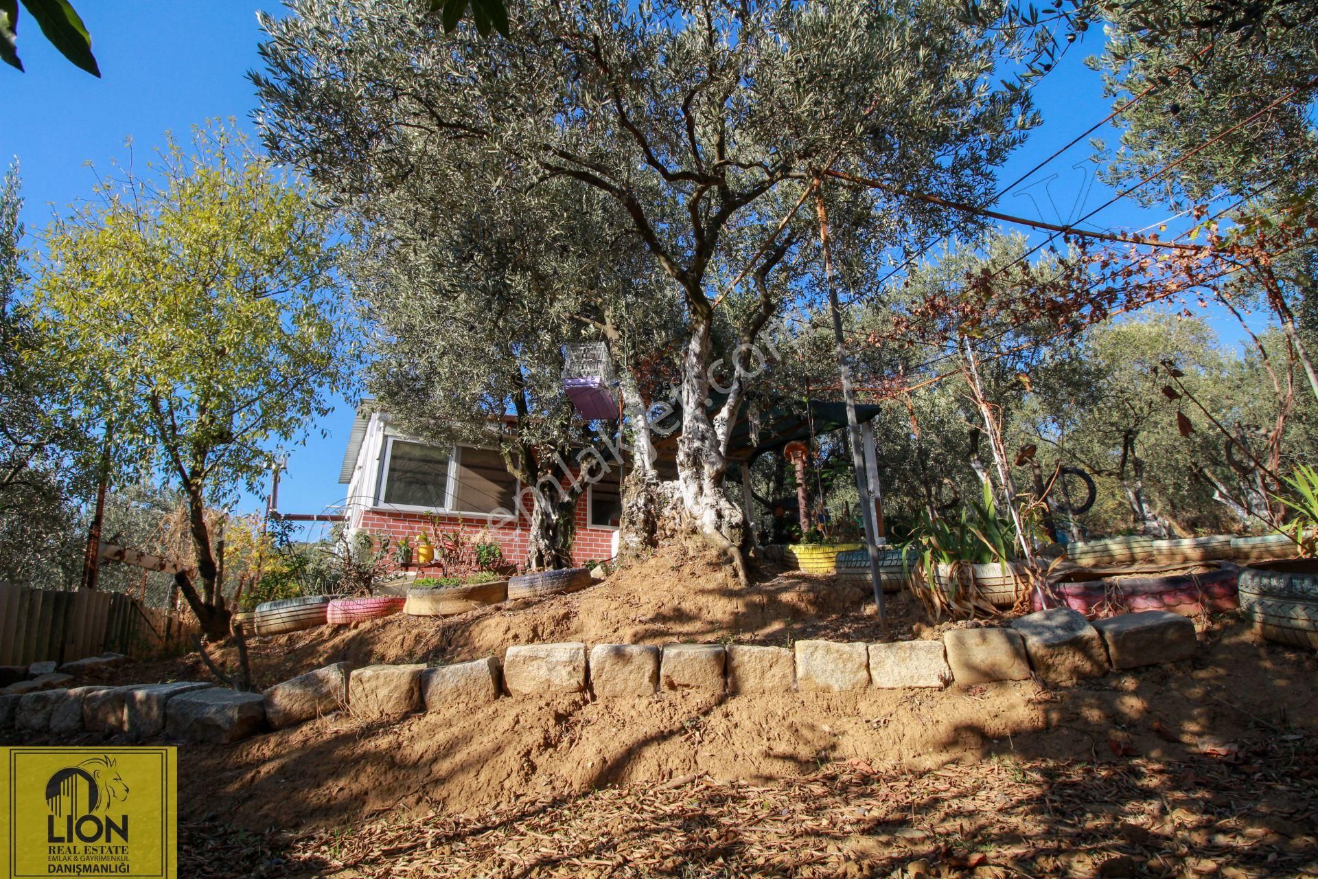 🟨⬛lıon Emlak'tan Erdek Atatürk Mahallesinde 1092 M² Zeytinlik İçerisinde Deniz Manzaralı Ev⬛🟨 - Görsel 22