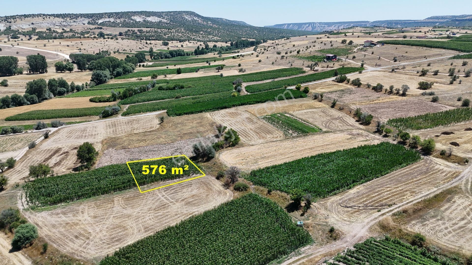 Konya / Meram / Kilistra Mahallesinde 576 M² Müstakil Tapulı Tarla - Görsel 2