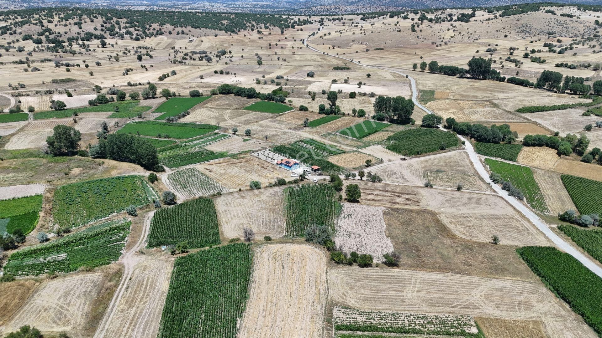 Konya / Meram / Kilistra Mahallesinde 576 M² Müstakil Tapulı Tarla - Görsel 7