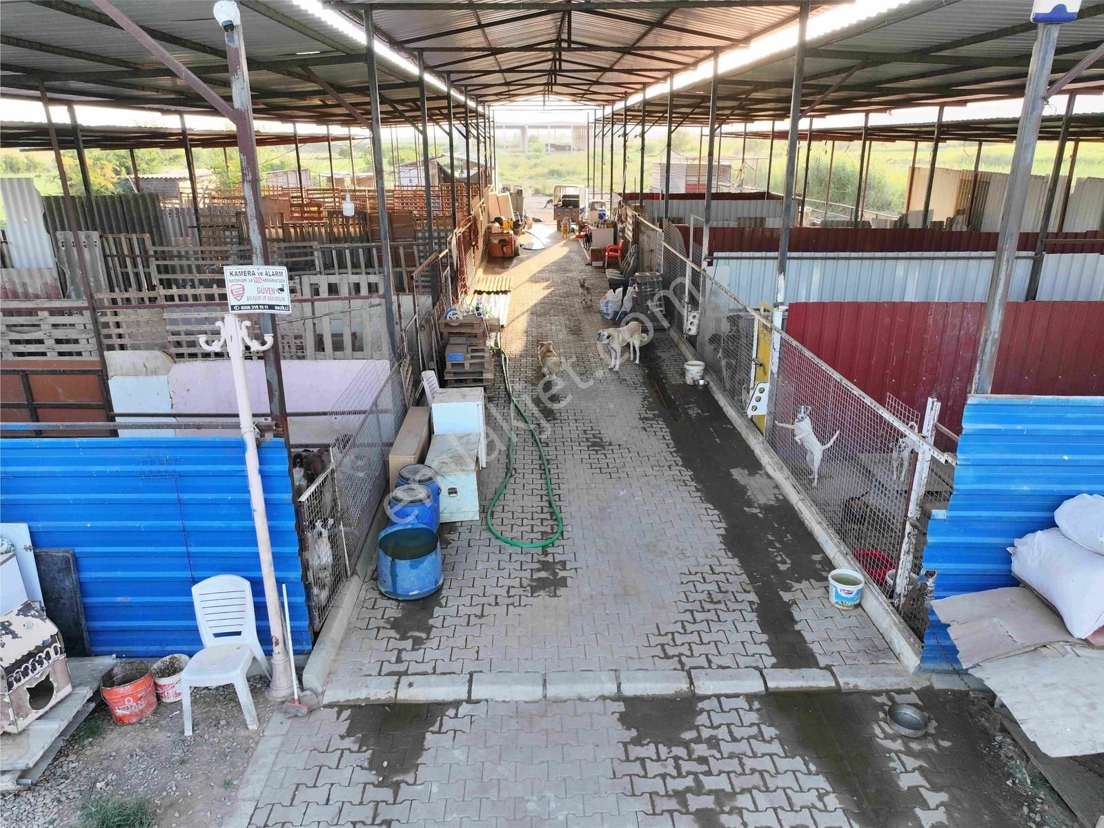 Majestic Manors - Dallıca'da Satılık 7500m2 Çiftlik - Görsel 7