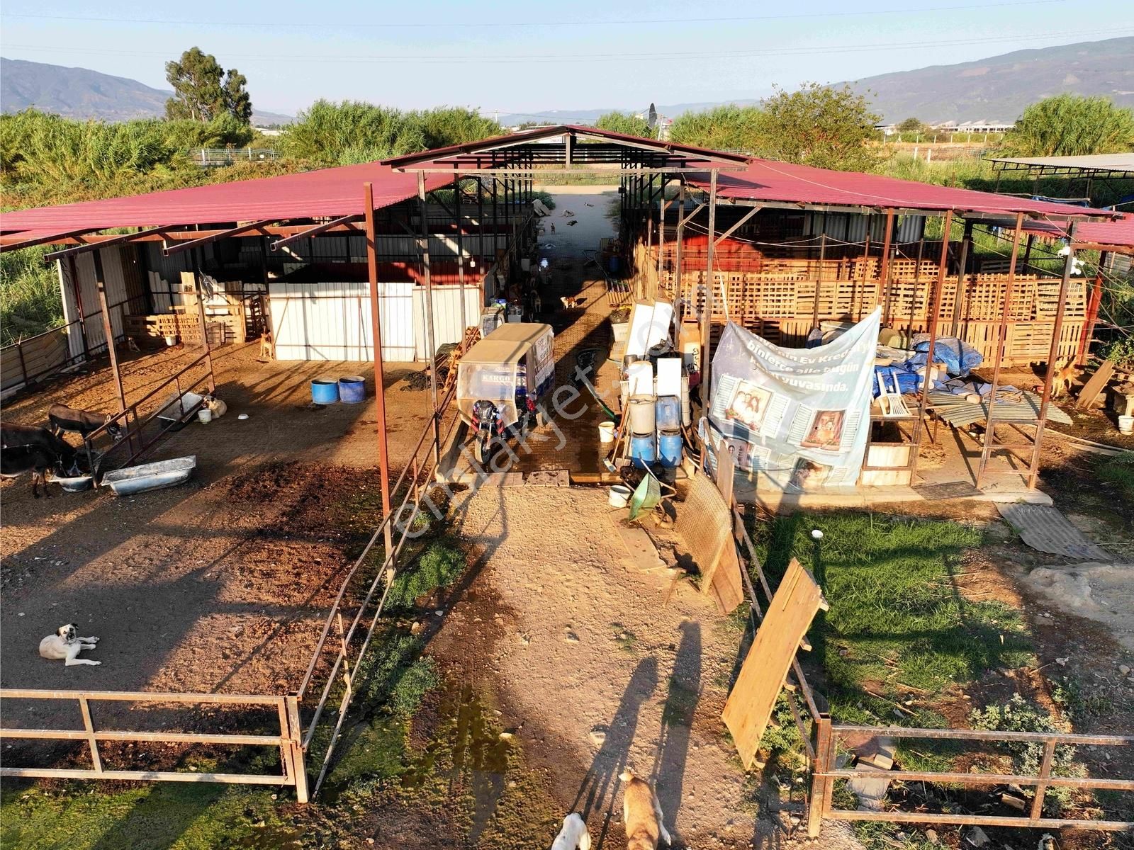 Majestic Manors - Dallıca'da Satılık 7500m2 Çiftlik - Görsel 12