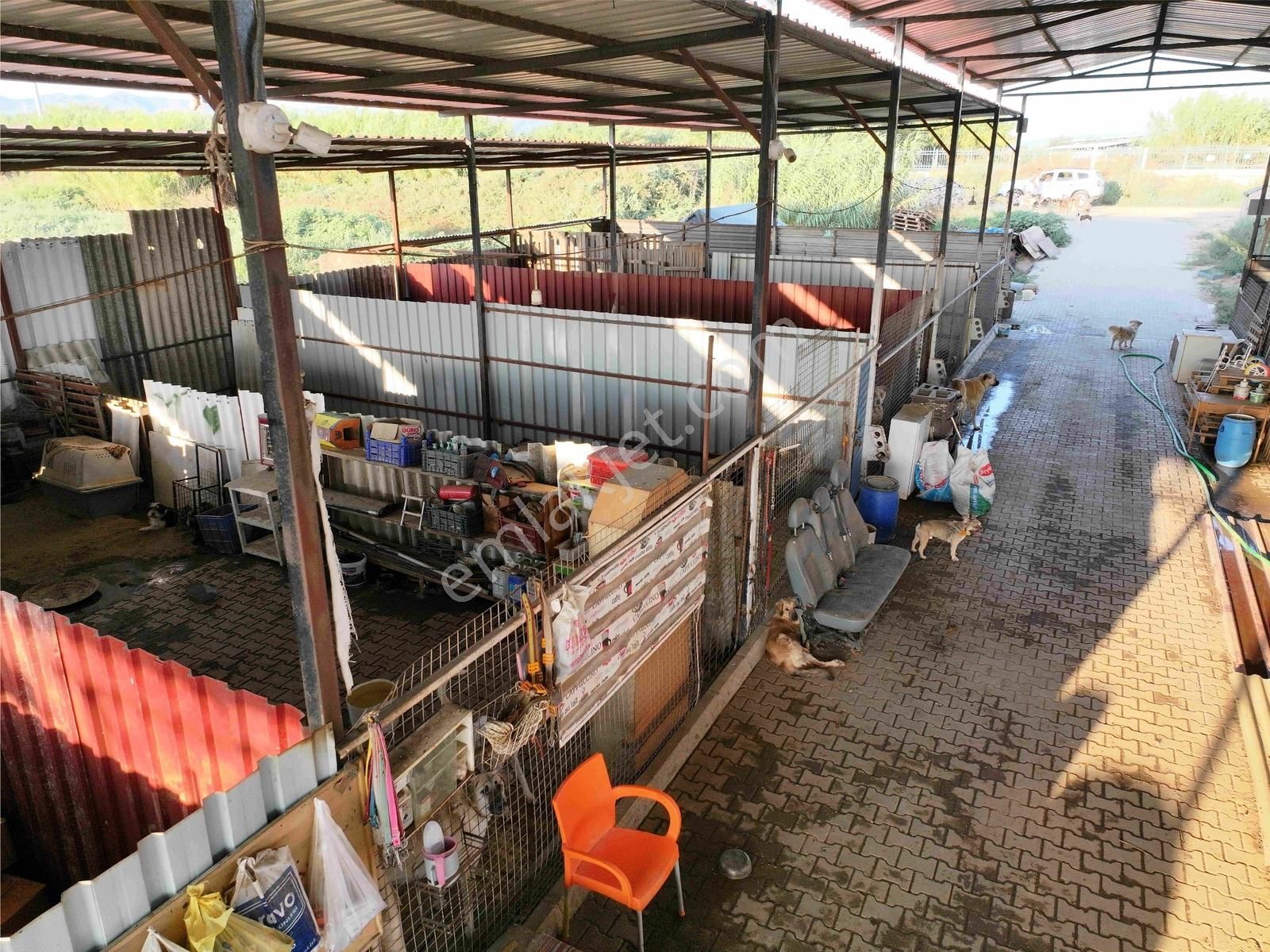 Majestic Manors - Dallıca'da Satılık 7500m2 Çiftlik - Görsel 10