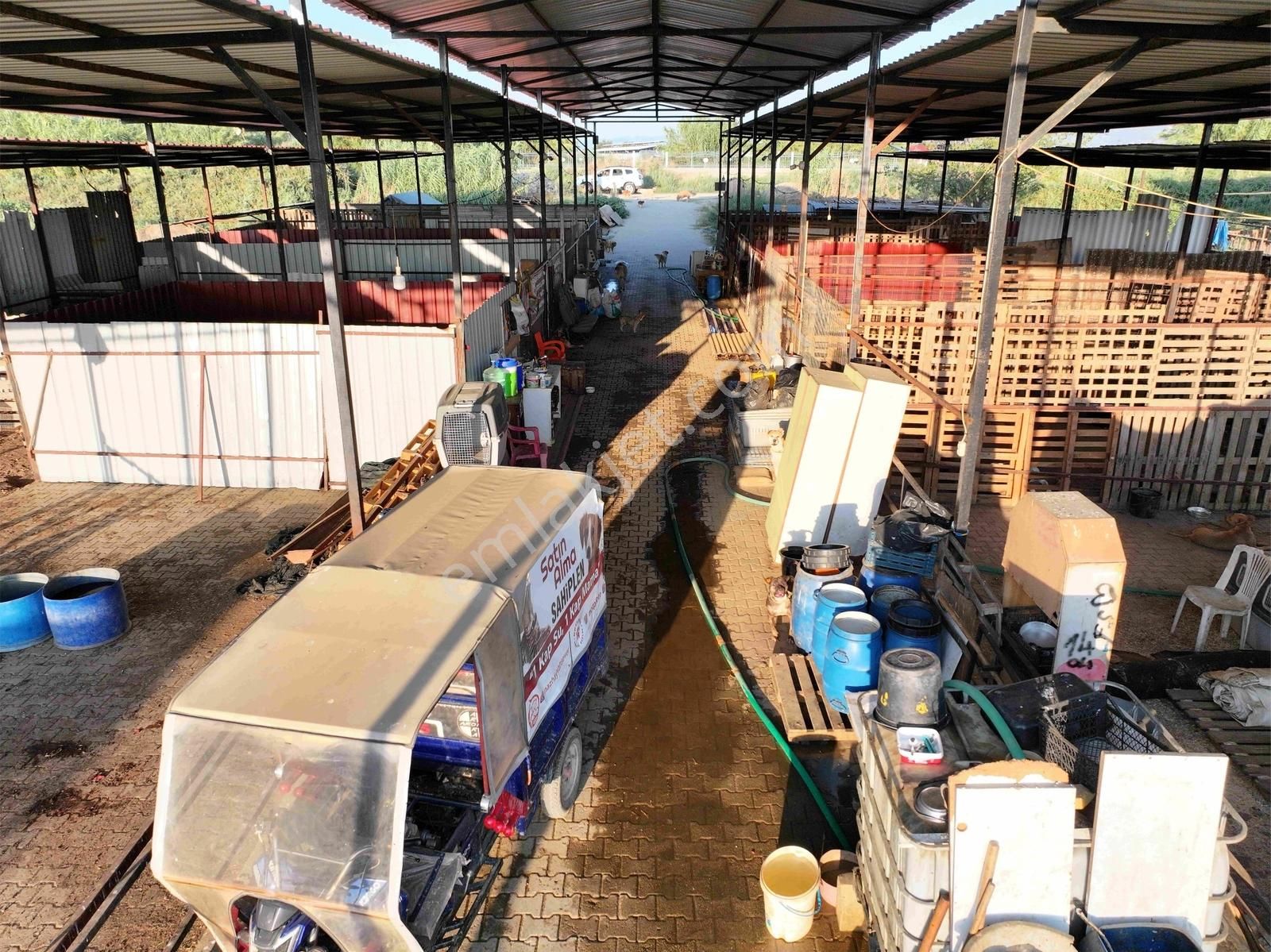 Majestic Manors - Dallıca'da Satılık 7500m2 Çiftlik - Görsel 6
