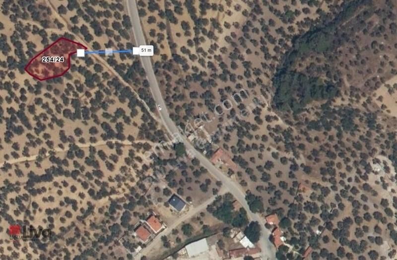 Rw Liva Dan Burhaniye Pelitköy De Satılık Zeytinlik - Görsel 5