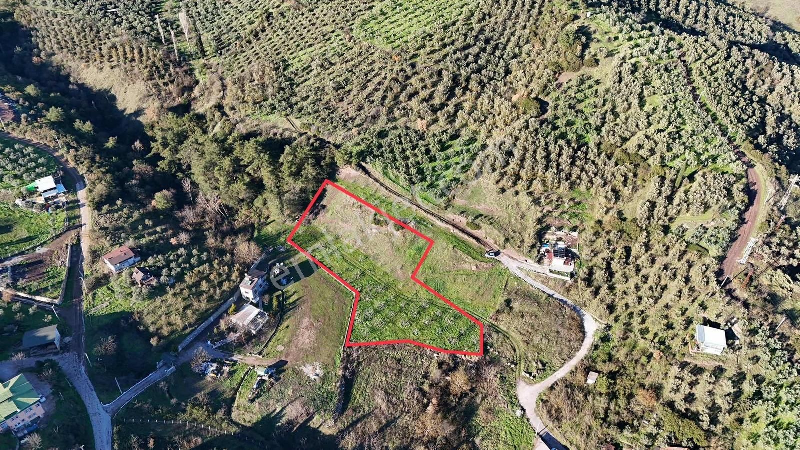 Bursa Gemlik Kurtul 3.471 M2 Tek Tapu Fırsat Tarla - Görsel 7