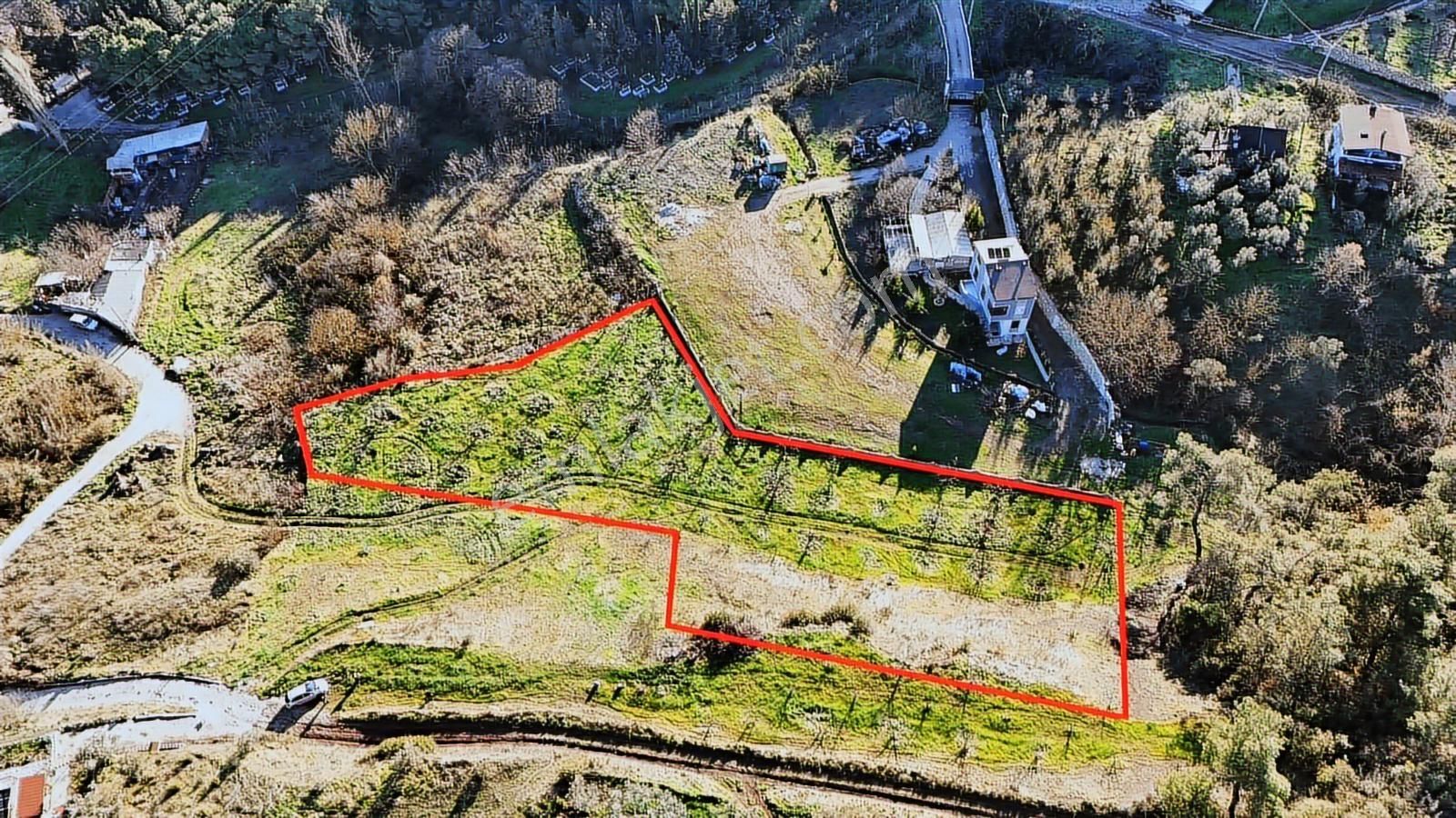 Bursa Gemlik Kurtul 3.471 M2 Tek Tapu Fırsat Tarla - Görsel 3