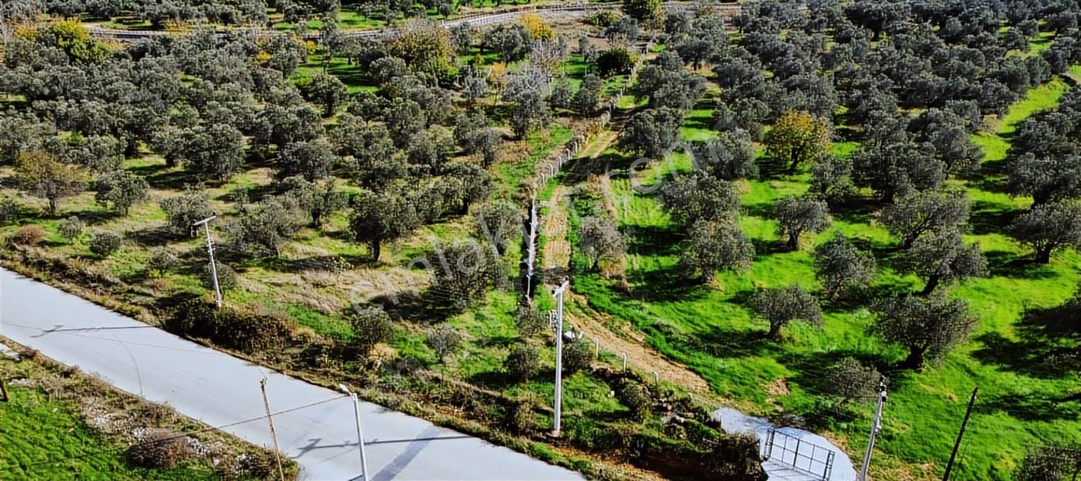Eu Gayrimenkul'den Taylıelinde Yolu İzni Alınmış 454 M2 Arazi - Görsel 10
