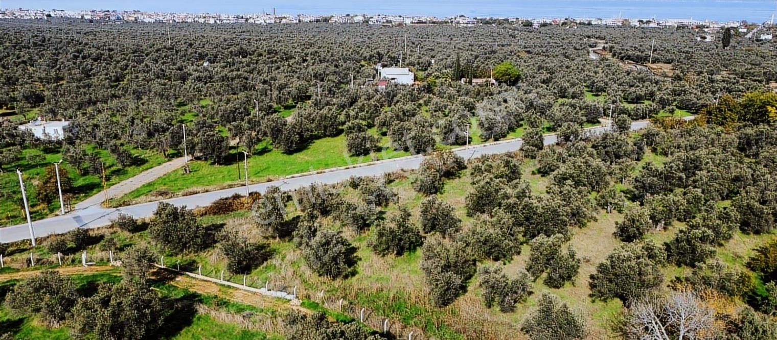 Eu Gayrimenkul'den Taylıelinde Yolu İzni Alınmış 454 M2 Arazi - Görsel 7