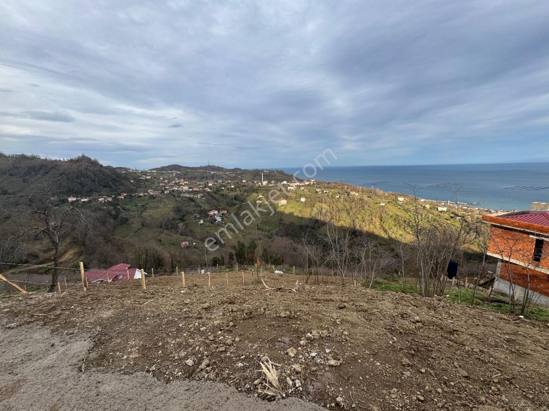 Century21'den Perşembe Tarlacık Mah.deniz Manzaralı Parseller - Görsel 14