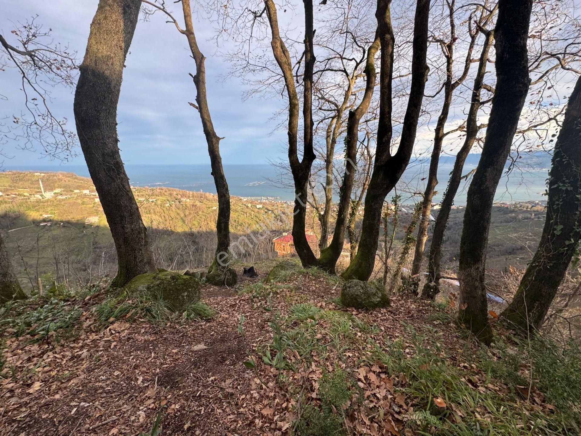 Century21'den Perşembe Tarlacık Mah.deniz Manzaralı Parseller - Görsel 30