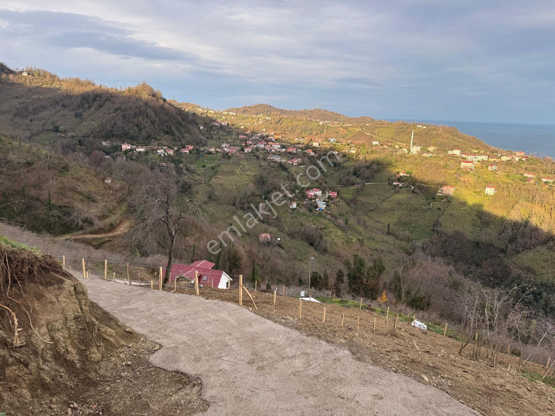 Century21'den Perşembe Tarlacık Mah.deniz Manzaralı Parseller - Görsel 22