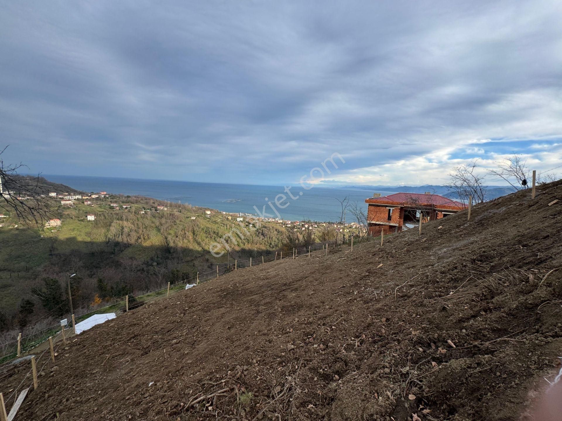 Century21'den Perşembe Tarlacık Mah.deniz Manzaralı Parseller - Görsel 13