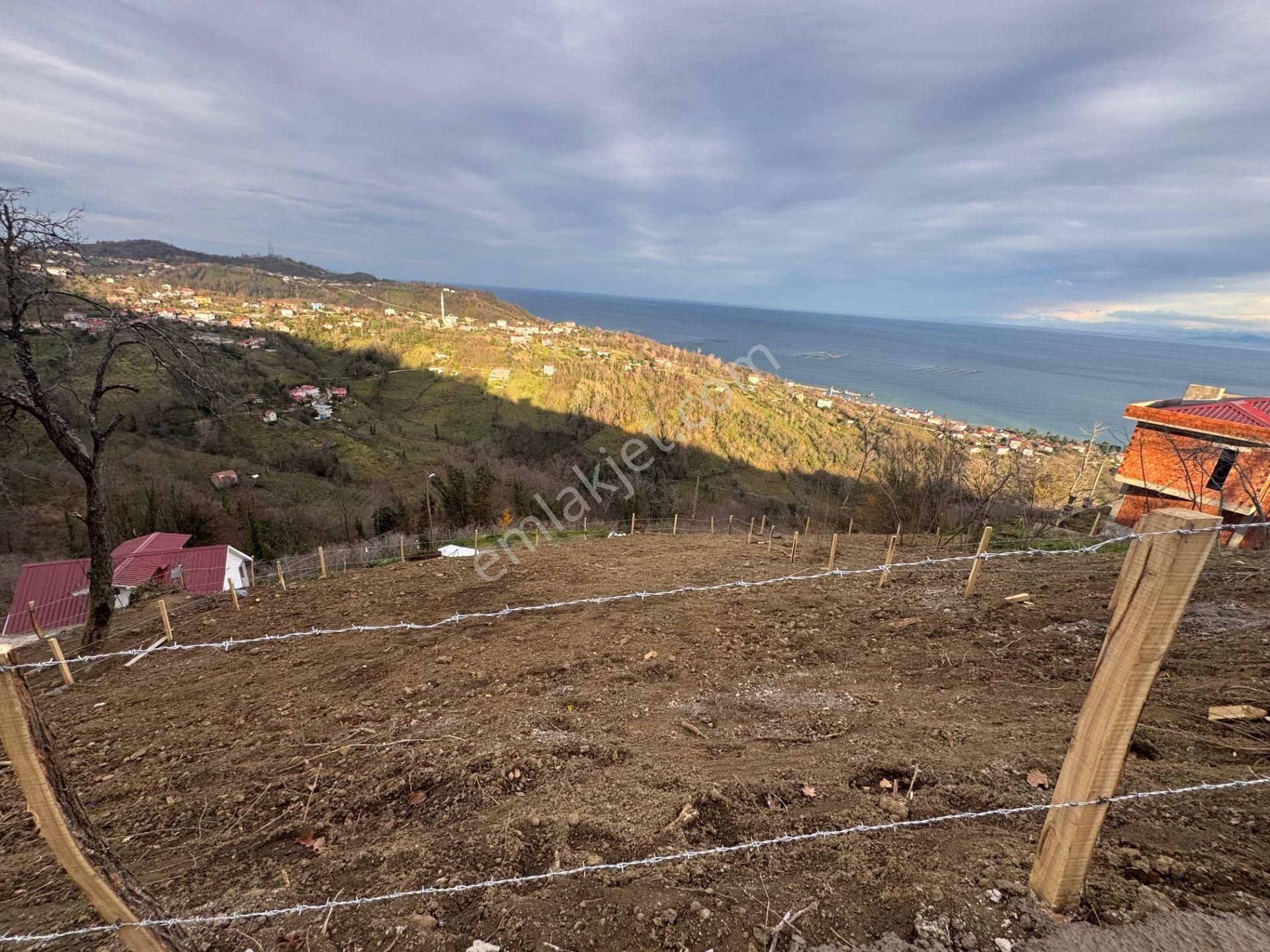Century21'den Perşembe Tarlacık Mah.deniz Manzaralı Parseller - Görsel 15