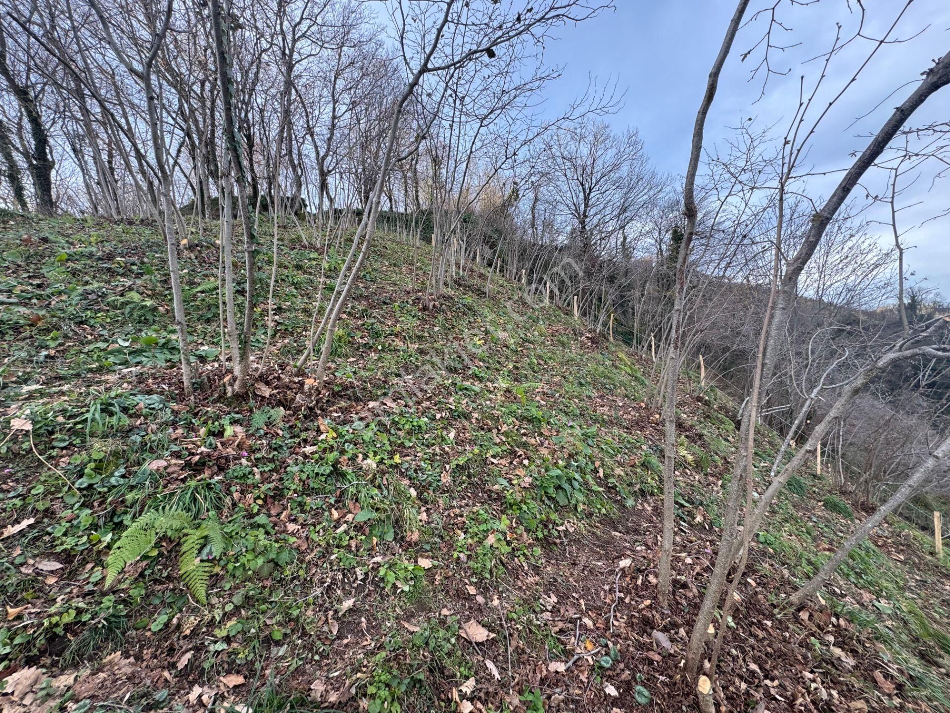 Century21'den Perşembe Tarlacık Mah.deniz Manzaralı Parseller - Görsel 34