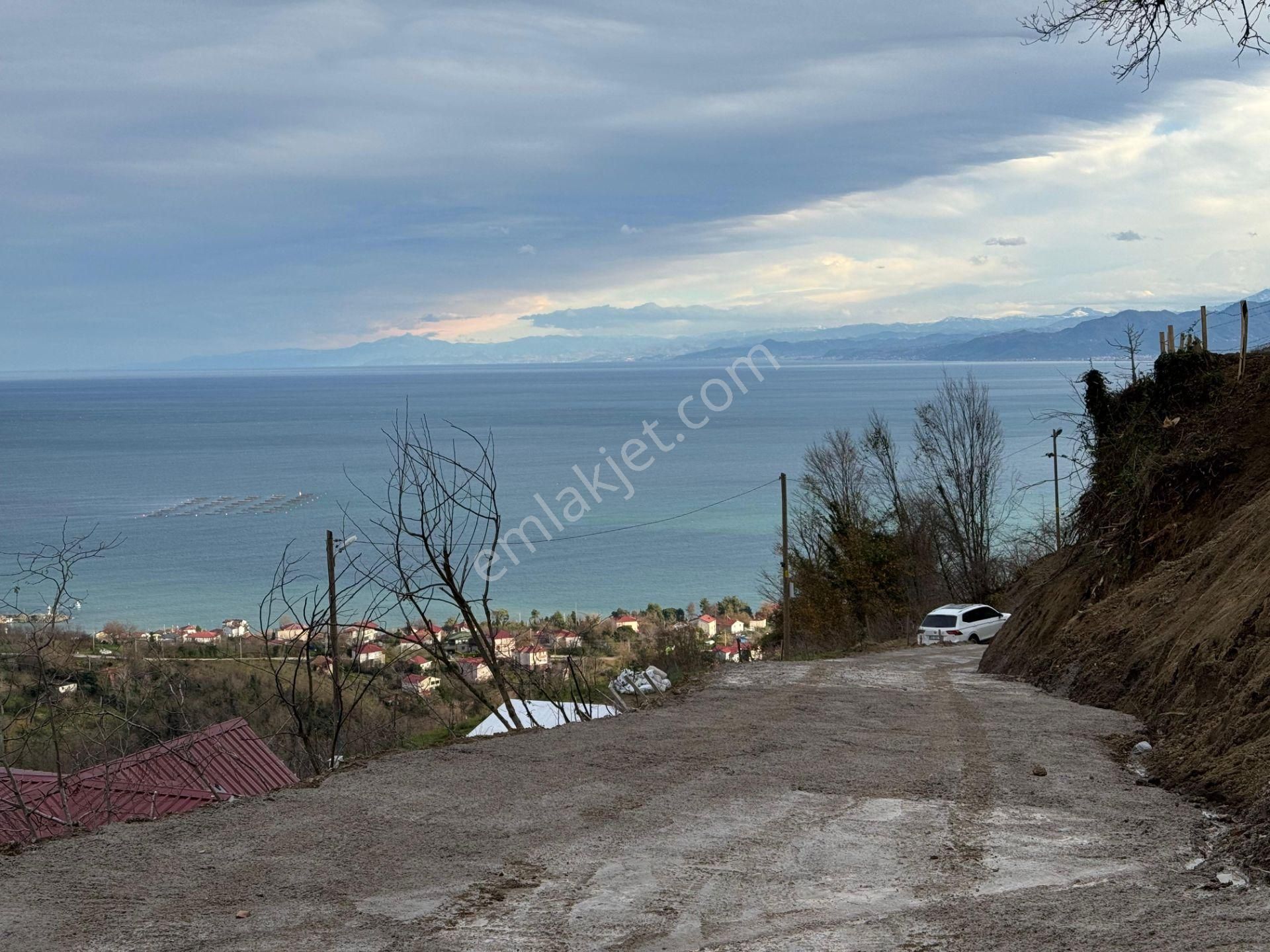 Century21'den Perşembe Tarlacık Mah.deniz Manzaralı Parseller - Görsel 35
