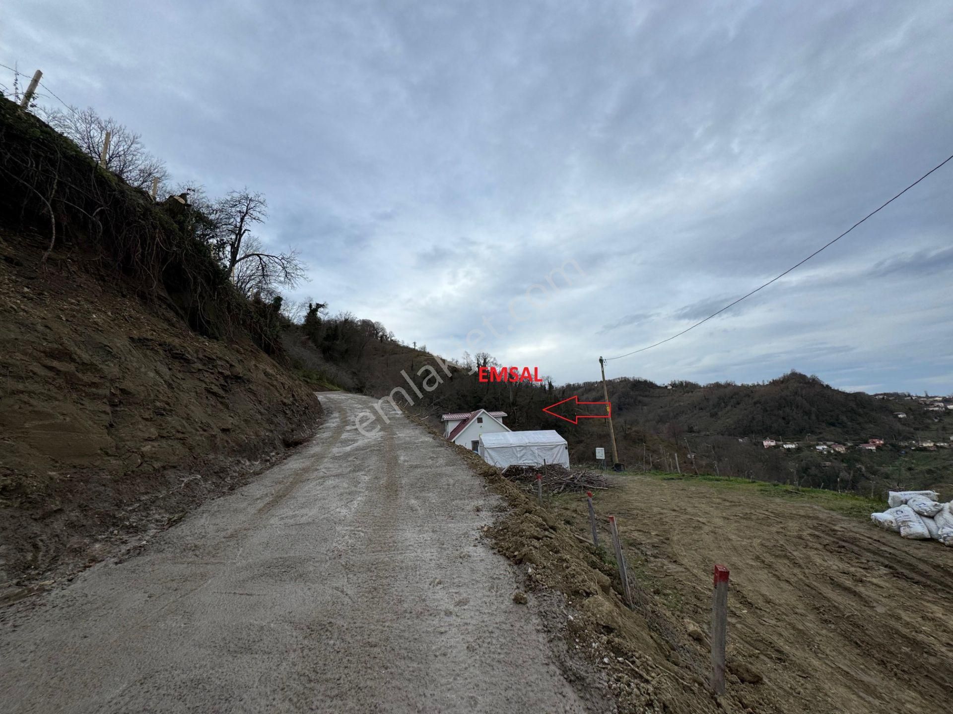 Century21'den Perşembe Tarlacık Mah.deniz Manzaralı Parseller - Görsel 8