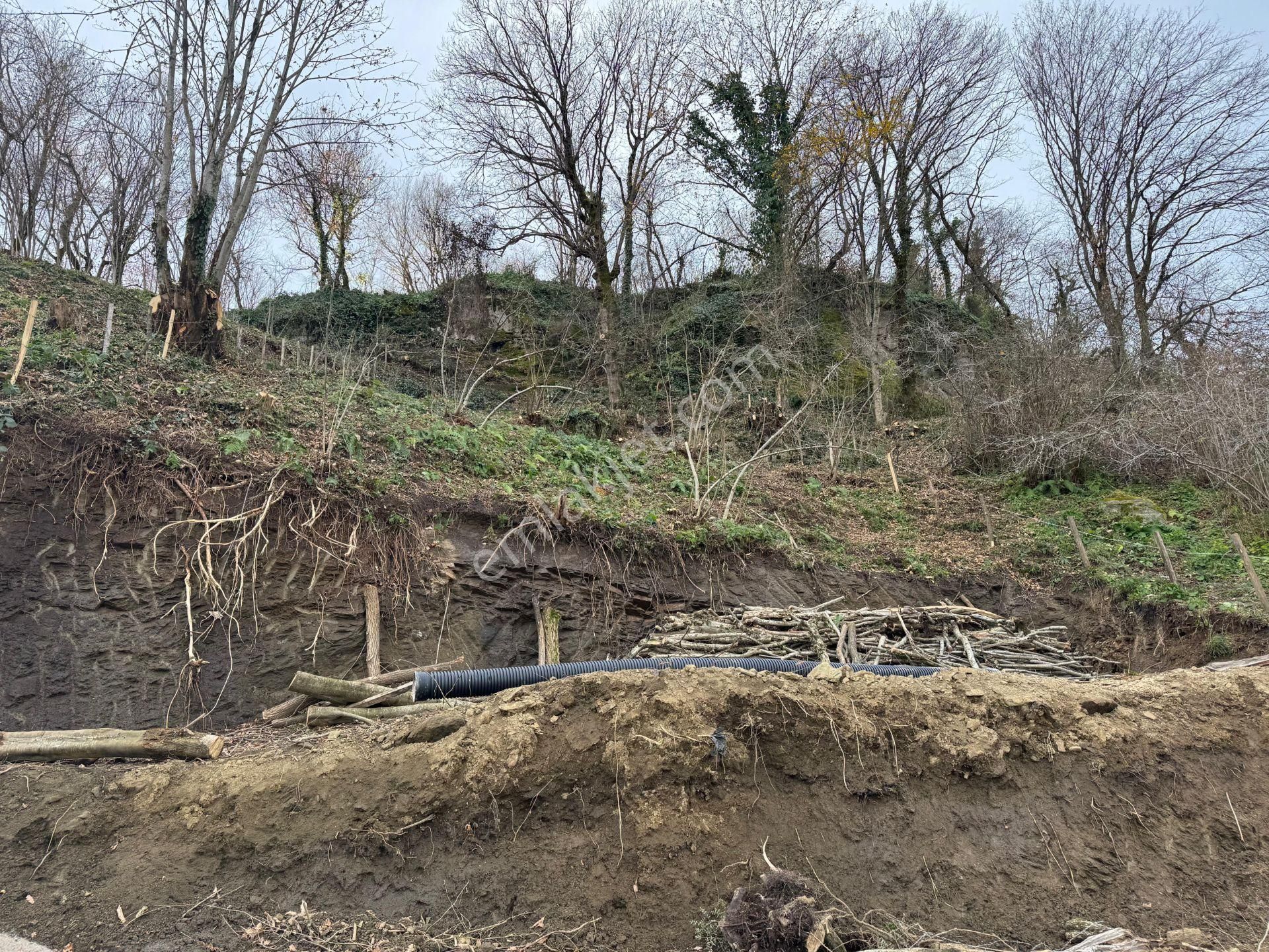 Century21'den Perşembe Tarlacık Mah.deniz Manzaralı Parseller - Görsel 32