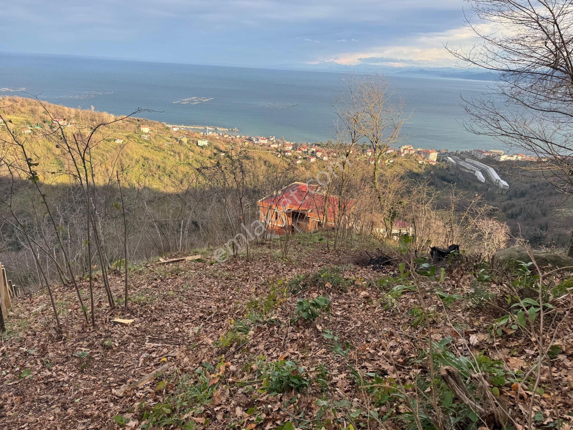 Century21'den Perşembe Tarlacık Mah.deniz Manzaralı Parseller - Görsel 6