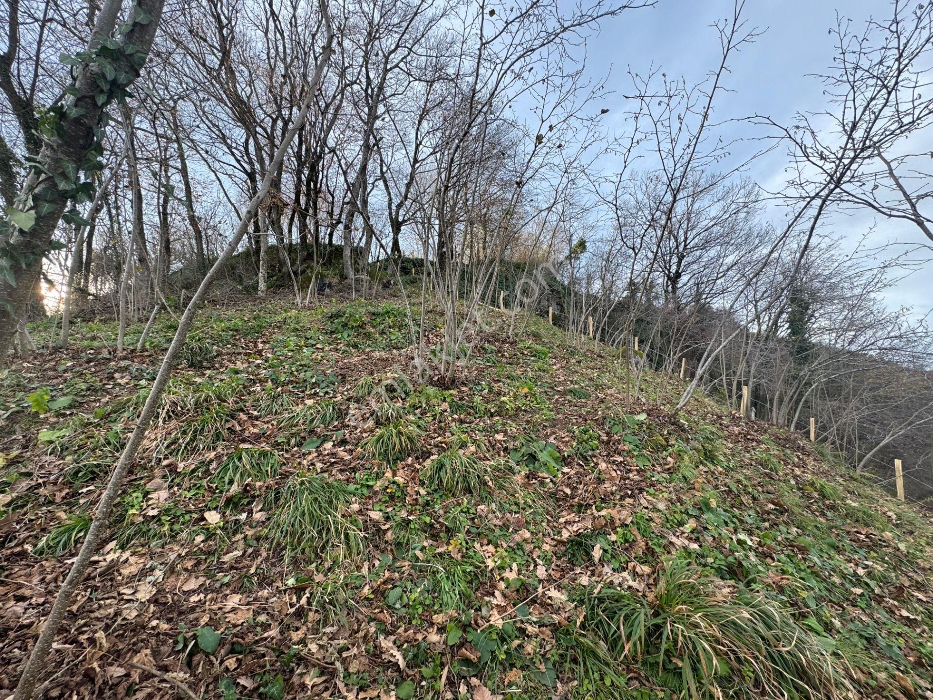 Century21'den Perşembe Tarlacık Mah.deniz Manzaralı Parseller - Görsel 21