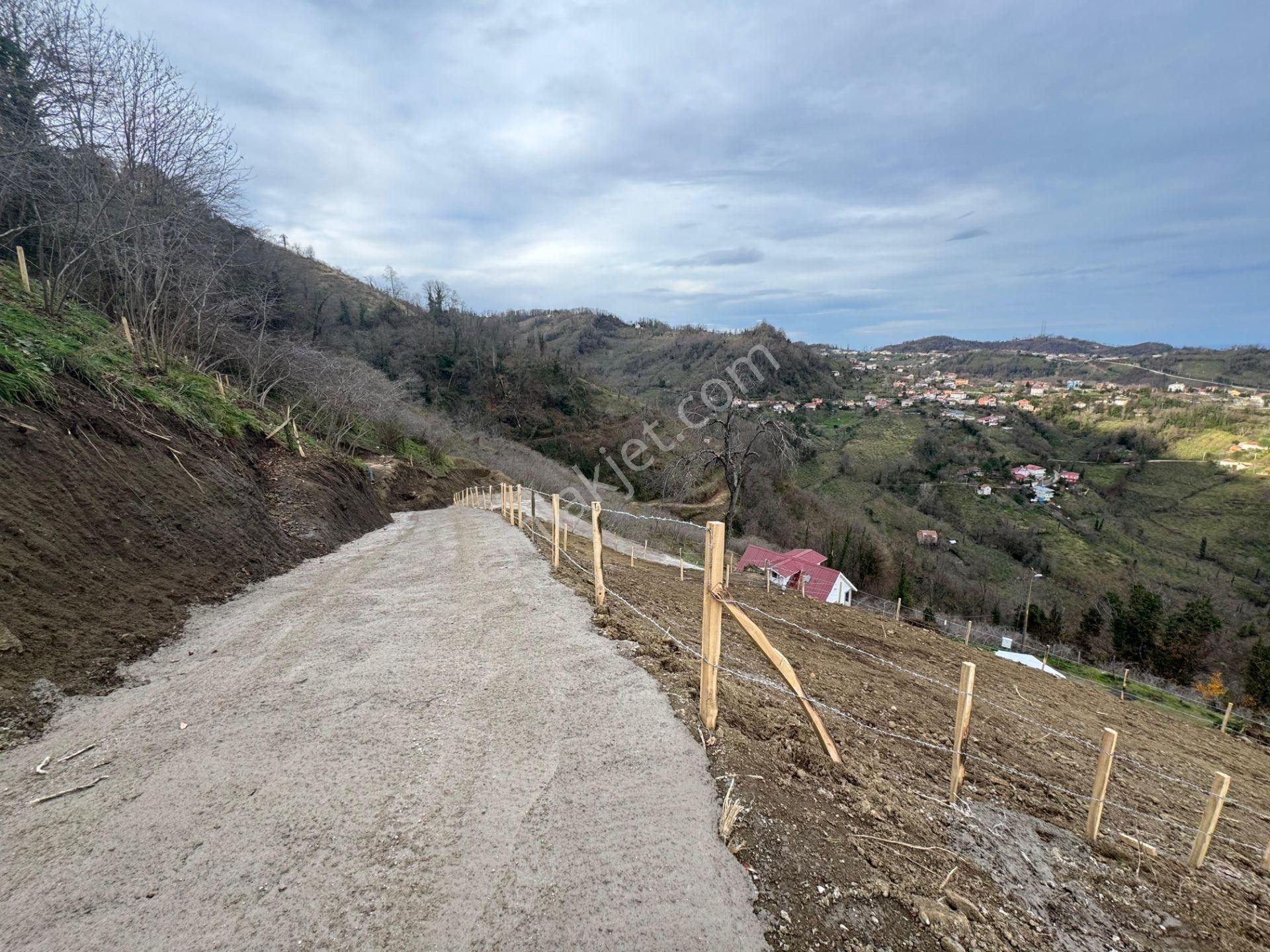 Century21'den Perşembe Tarlacık Mah.deniz Manzaralı Parseller - Görsel 28