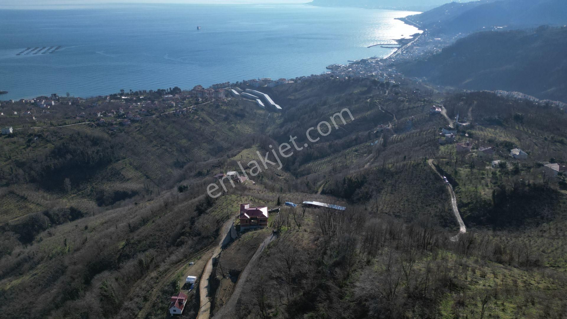 Century21'den Perşembe Tarlacık Mah.deniz Manzaralı Parseller