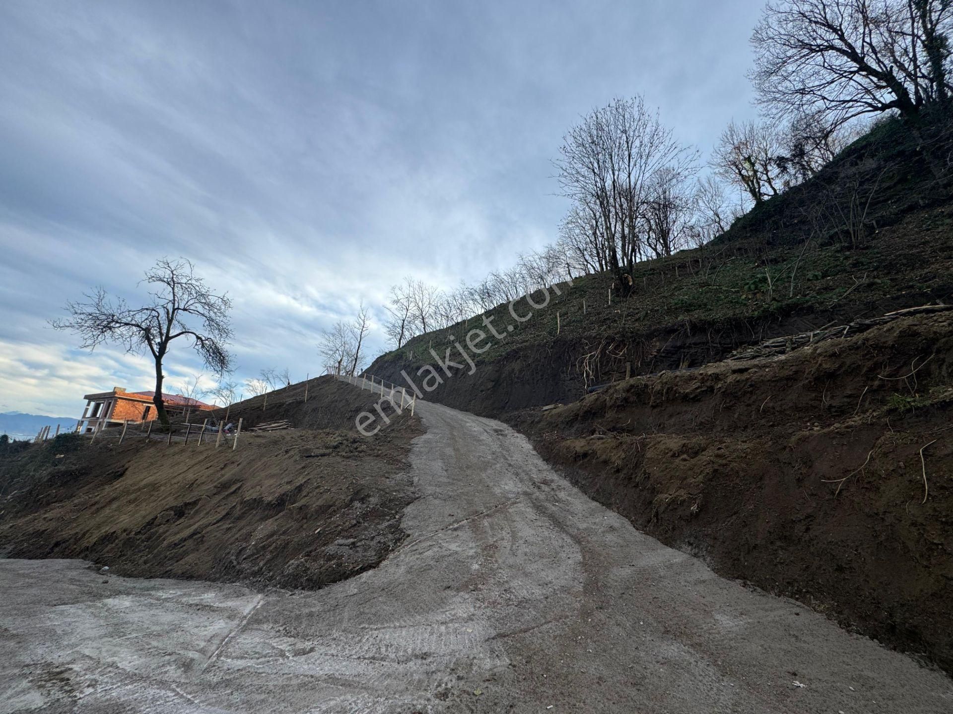 Century21'den Perşembe Tarlacık Mah.deniz Manzaralı Parseller - Görsel 9