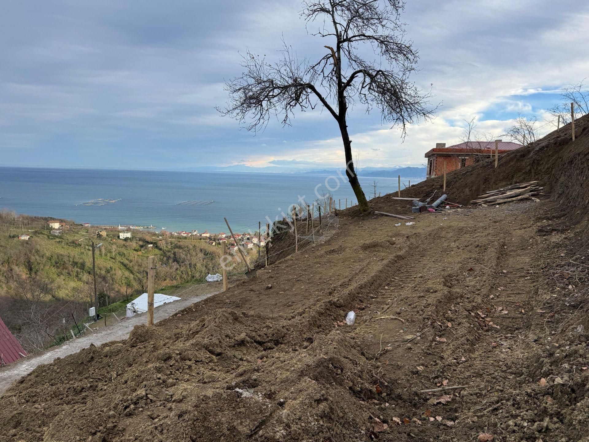 Century21'den Perşembe Tarlacık Mah.deniz Manzaralı Parseller - Görsel 12