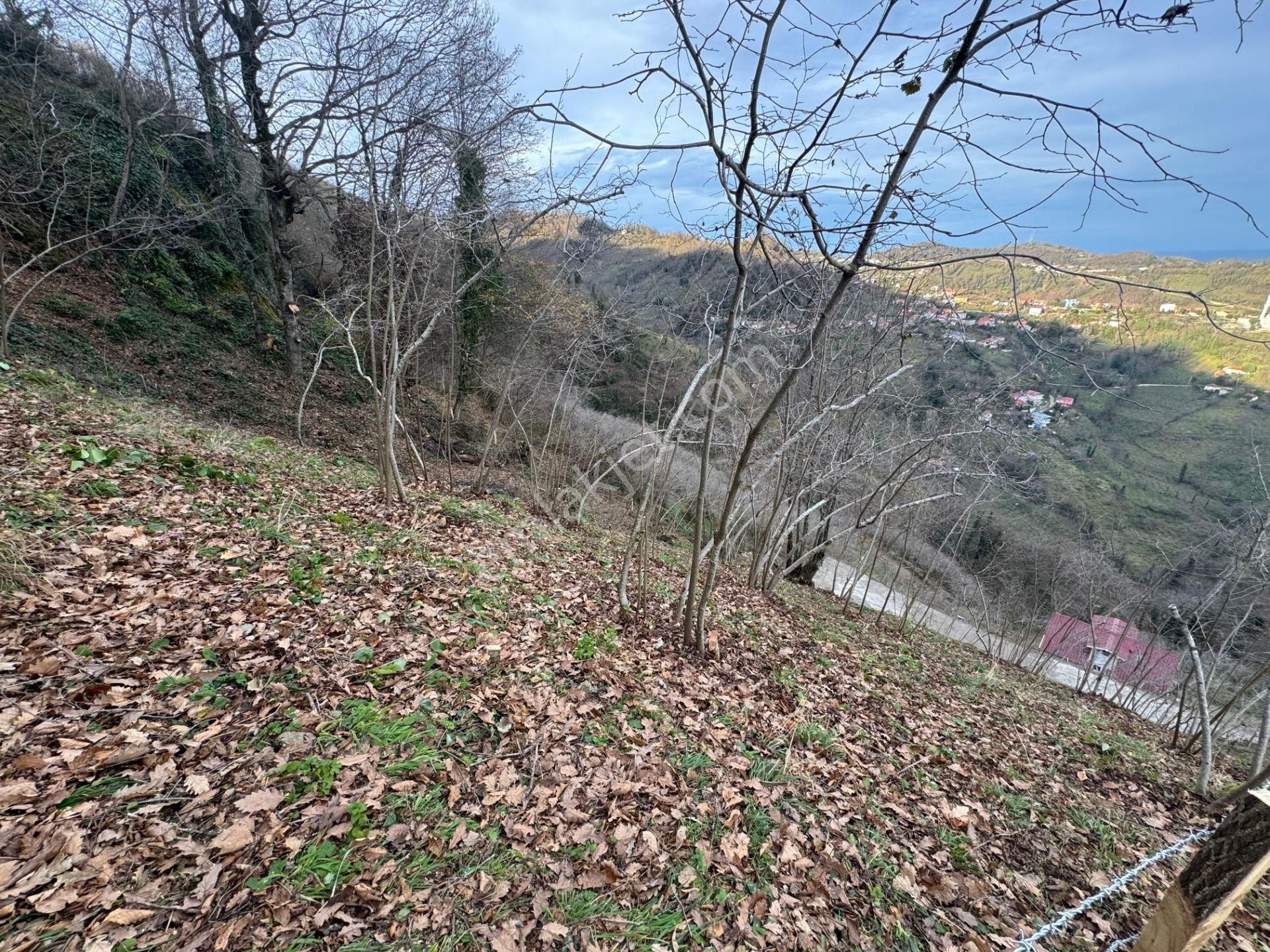 Century21'den Perşembe Tarlacık Mah.deniz Manzaralı Parseller - Görsel 20