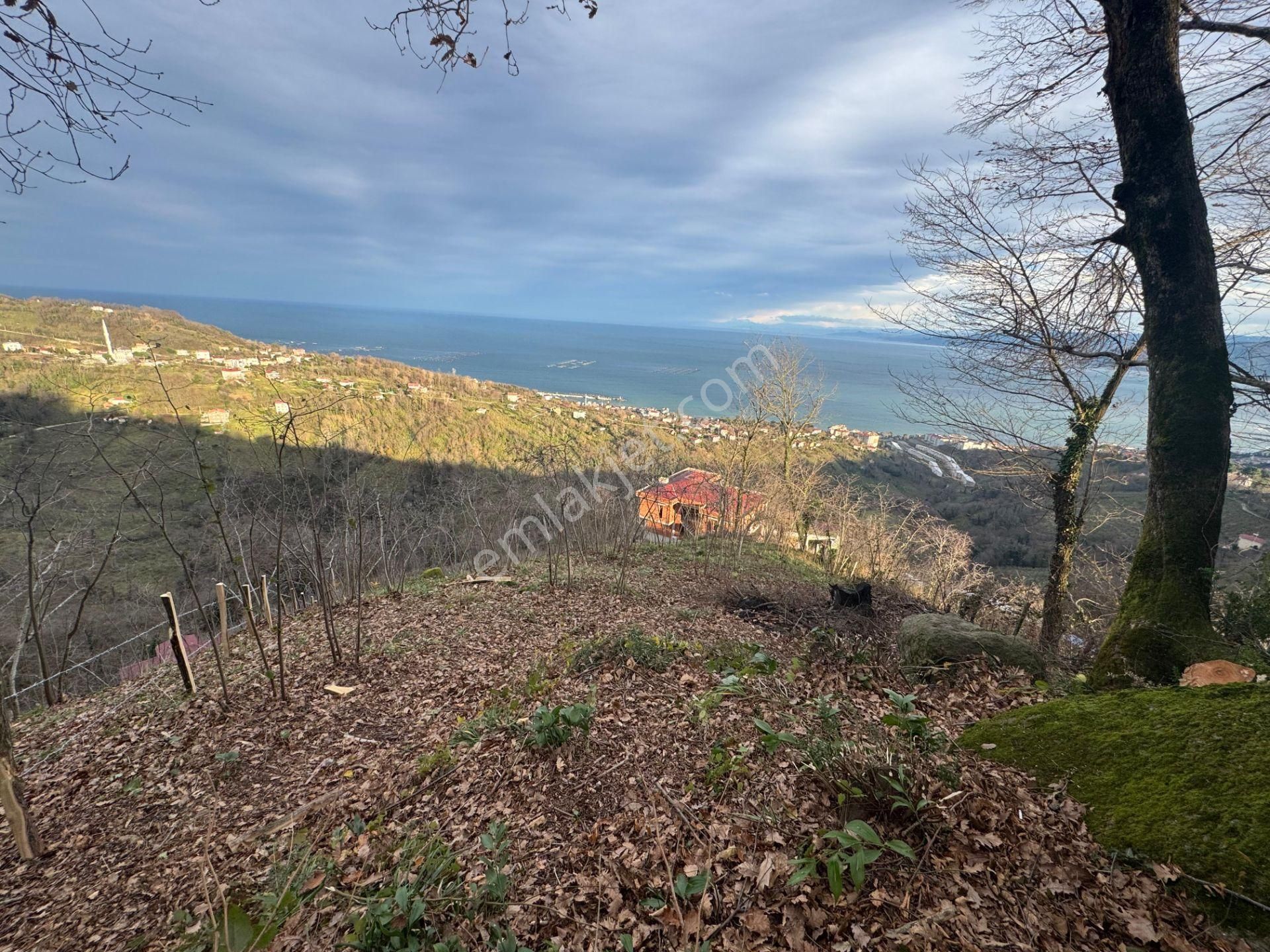 Century21'den Perşembe Tarlacık Mah.deniz Manzaralı Parseller - Görsel 29