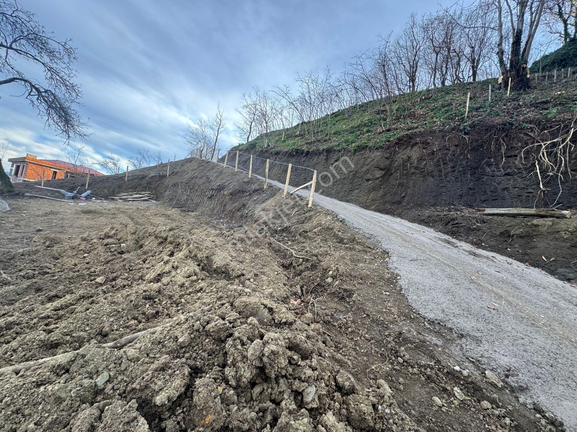 Century21'den Perşembe Tarlacık Mah.deniz Manzaralı Parseller - Görsel 11