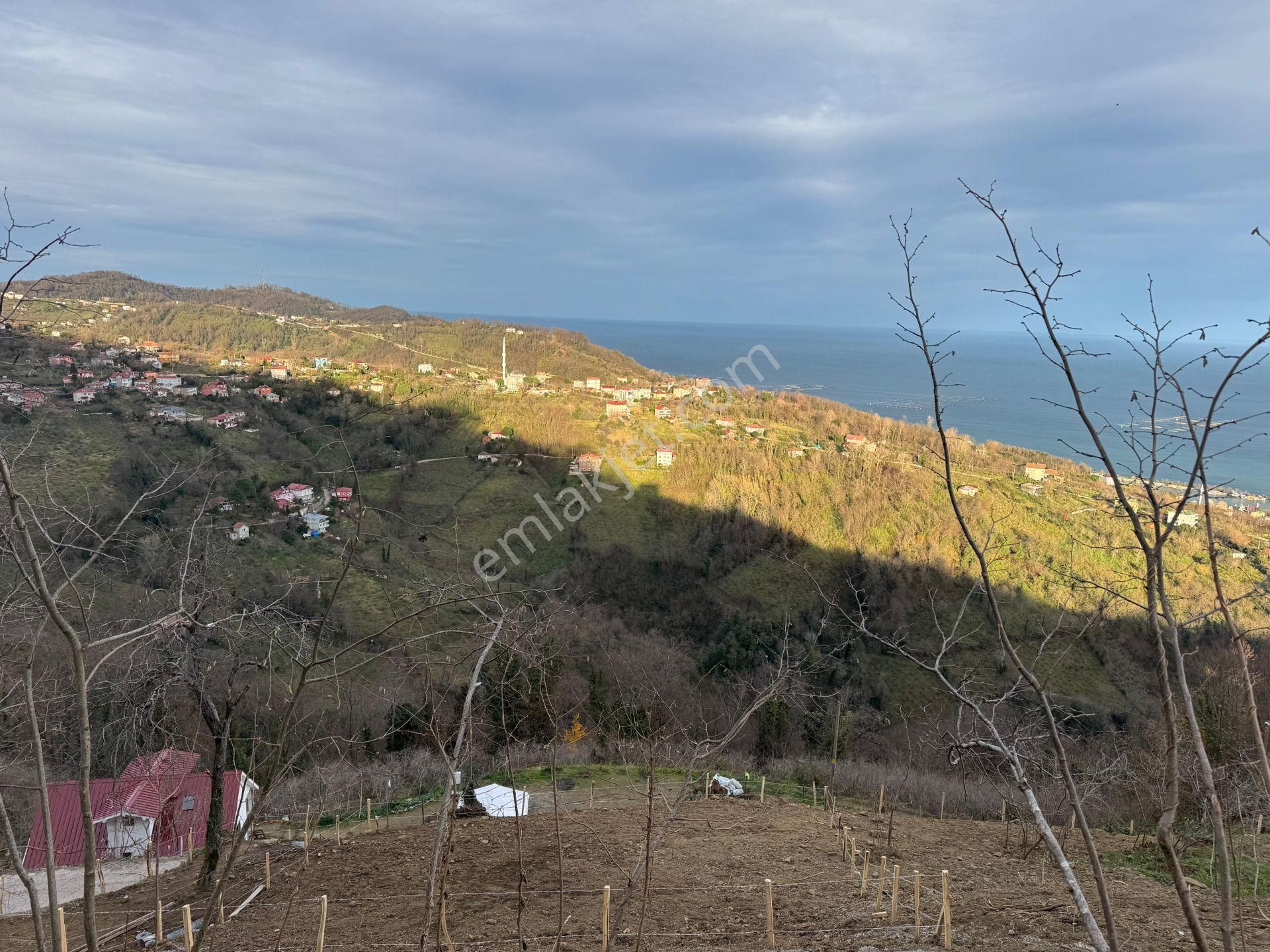 Century21'den Perşembe Tarlacık Mah.deniz Manzaralı Parseller - Görsel 19