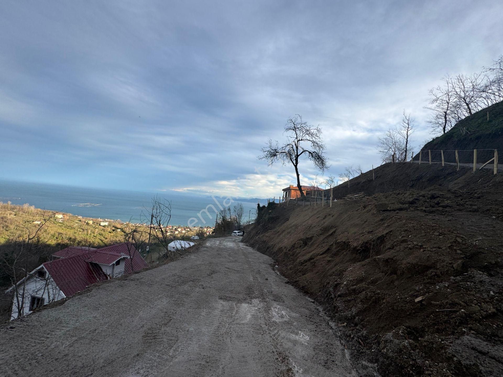 Century21'den Perşembe Tarlacık Mah.deniz Manzaralı Parseller - Görsel 10