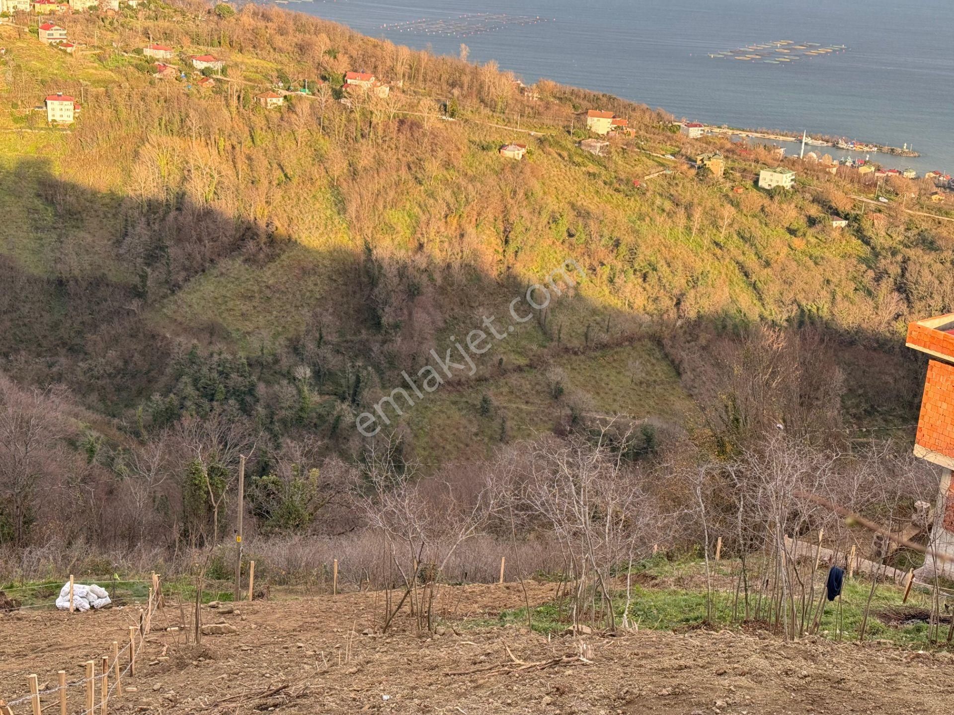 Century21'den Perşembe Tarlacık Mah.deniz Manzaralı Parseller - Görsel 18