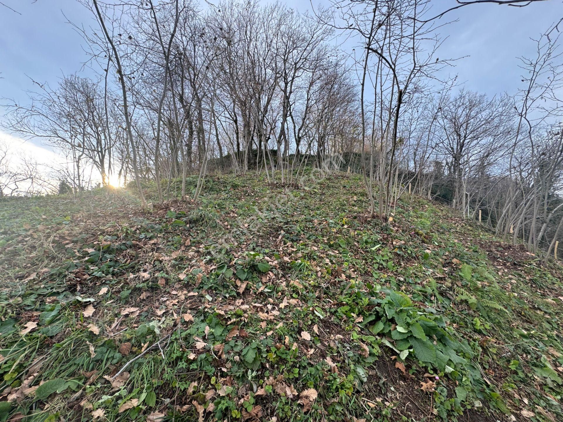 Century21'den Perşembe Tarlacık Mah.deniz Manzaralı Parseller - Görsel 7