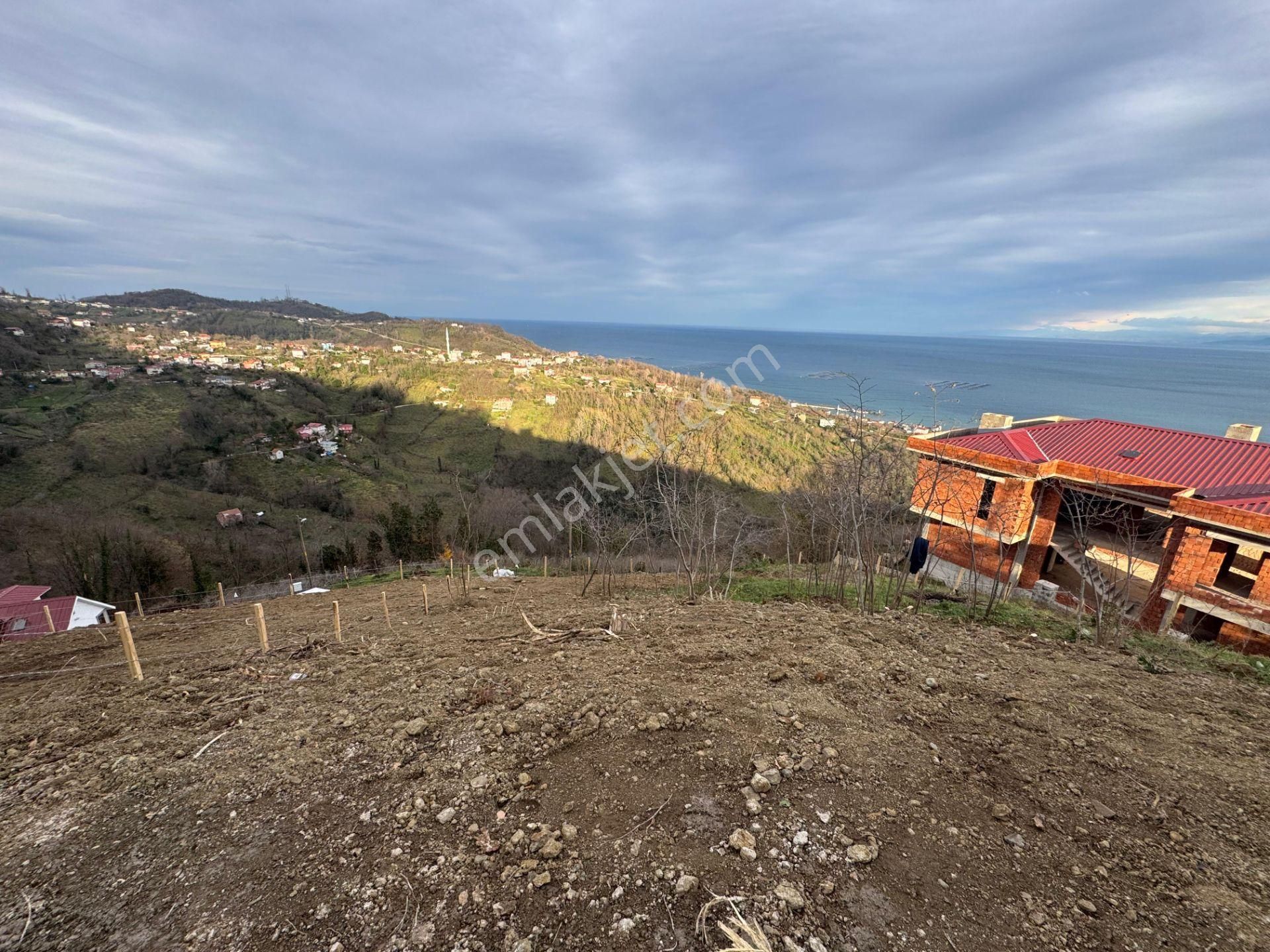 Century21'den Perşembe Tarlacık Mah.deniz Manzaralı Parseller - Görsel 16