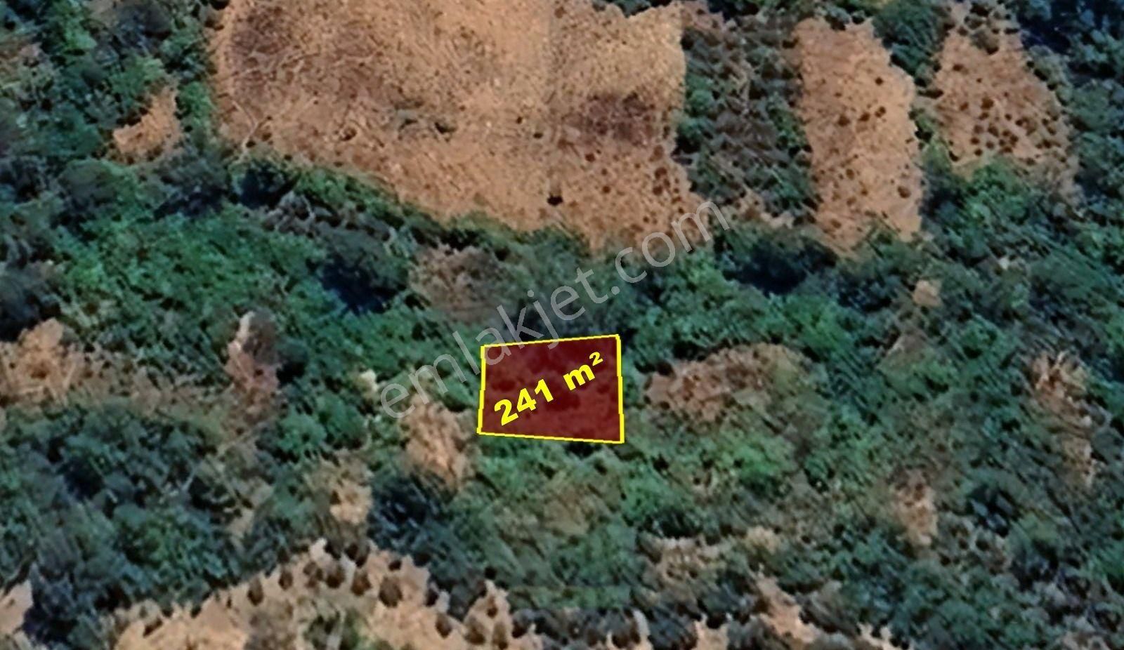 Antalya / Gündoğmuş / Eskibağ Mahallesinde 241 M² Müstakil Tapulu Bahçe - Görsel 7