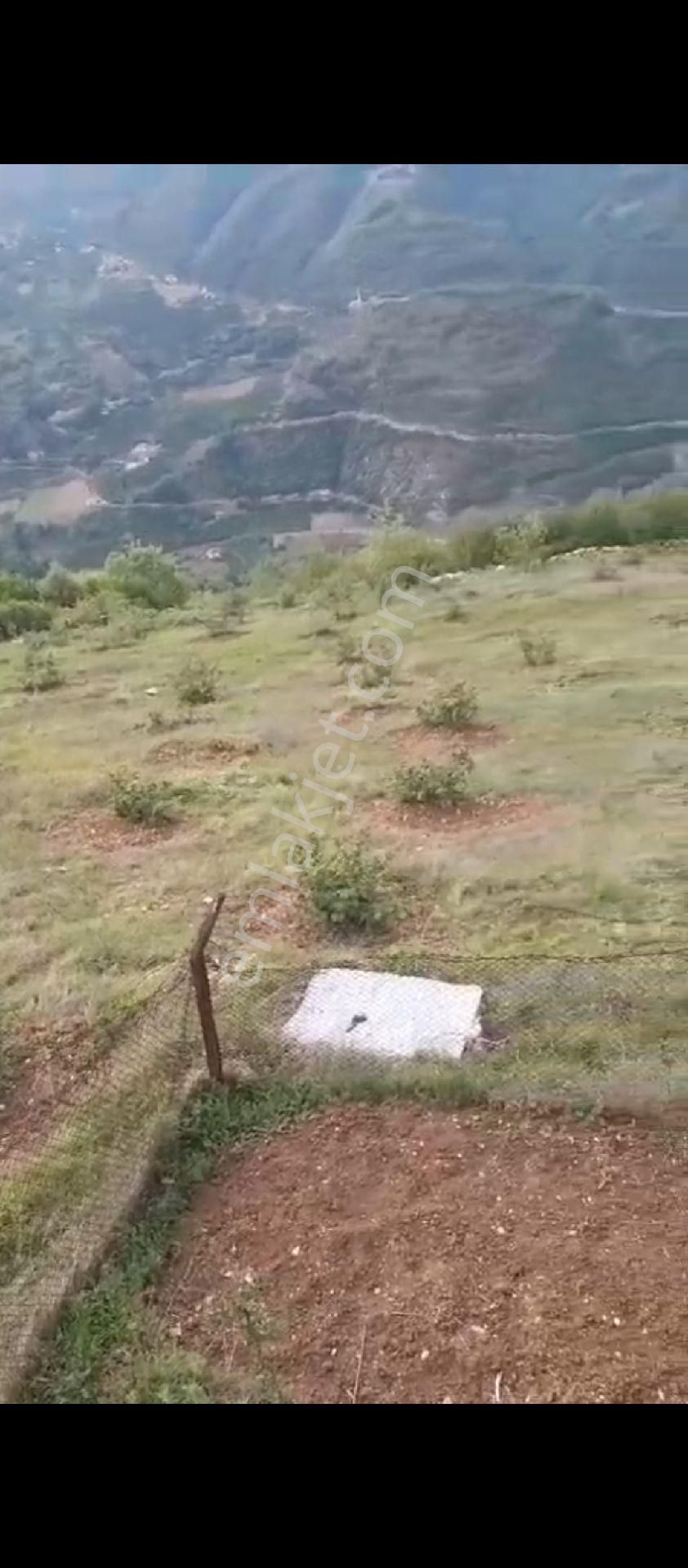 Samsun Kaleboğazı Mahallesinde Kaçırılmayacak Arazi - Görsel 5