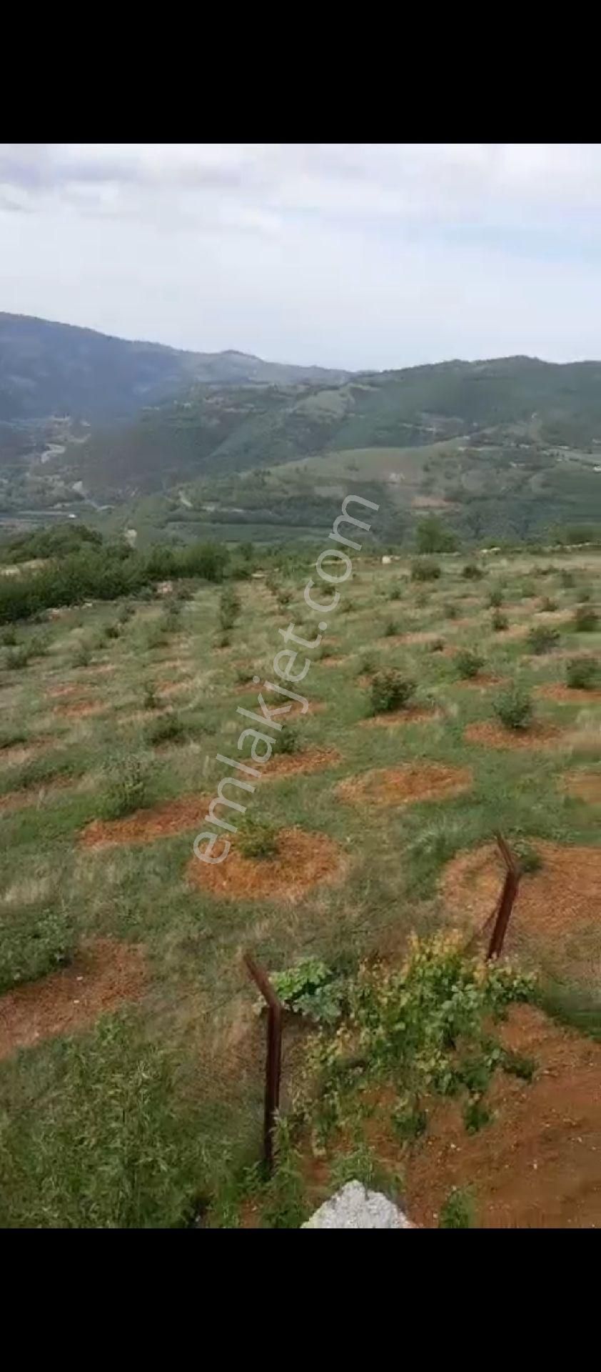 Samsun Kaleboğazı Mahallesinde Kaçırılmayacak Arazi - Görsel 3