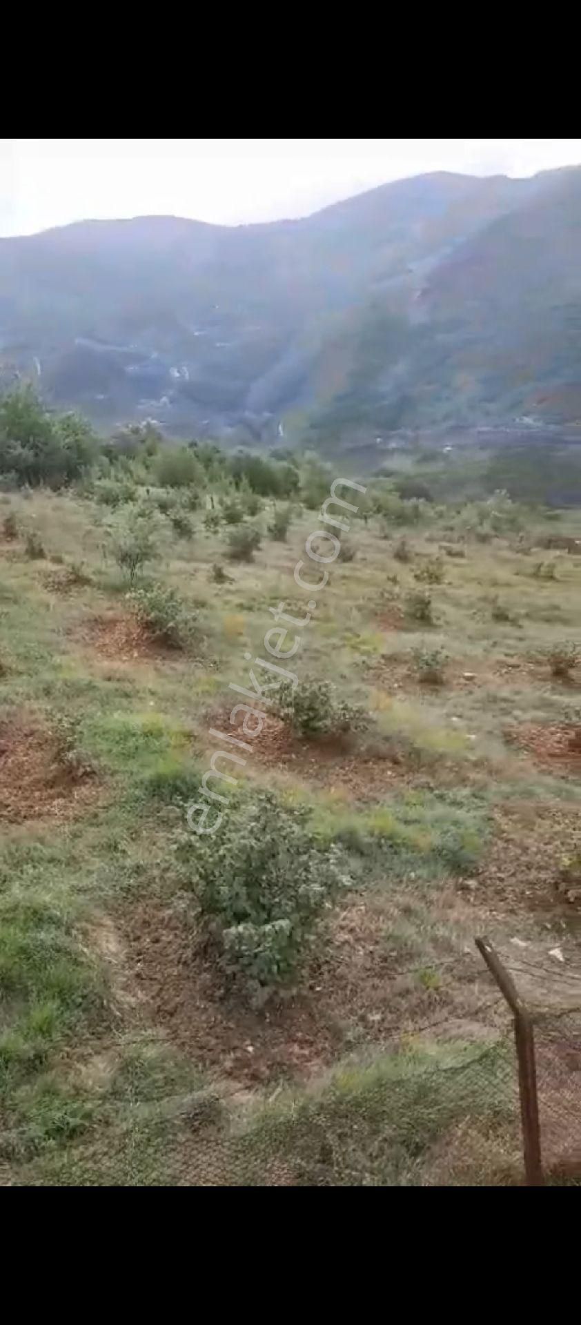 Samsun Kaleboğazı Mahallesinde Kaçırılmayacak Arazi