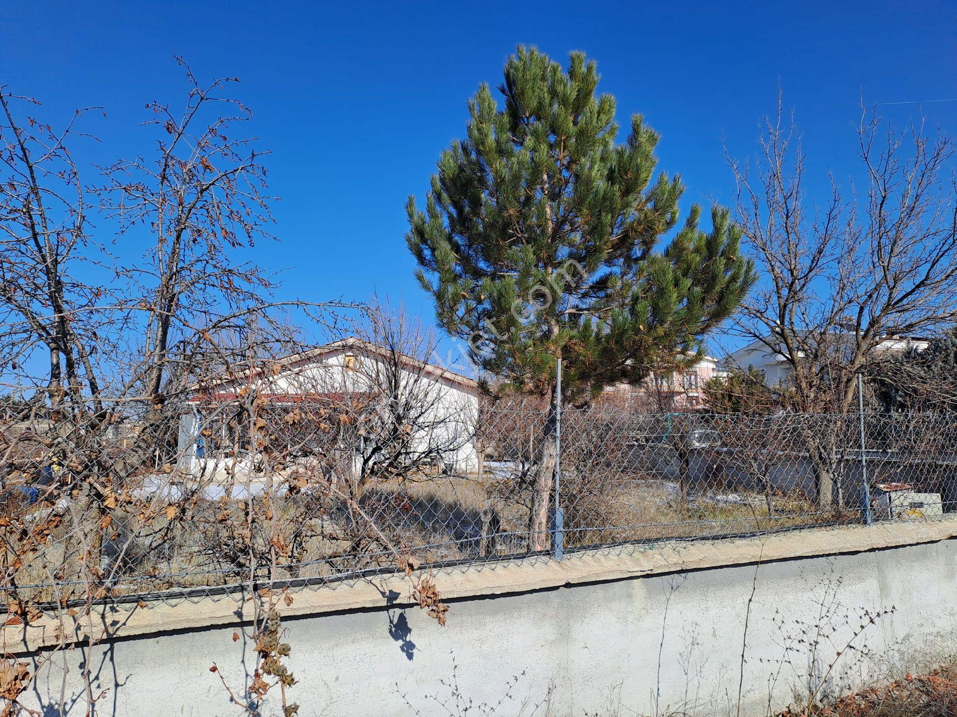Gölbaşı Ballık Pınar Villa - Görsel 7