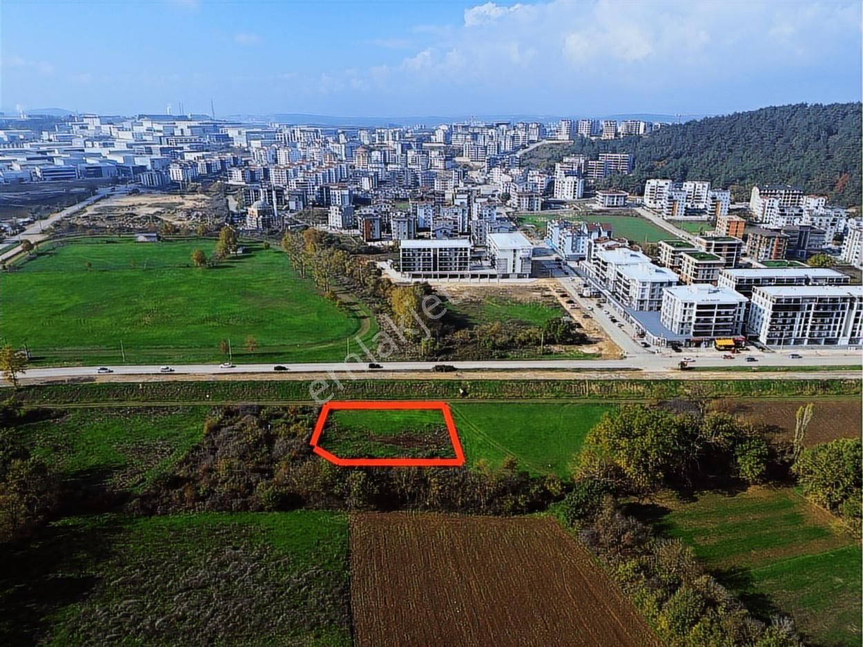 Dialog Prestij Kayapa 30 Ağustos Zafer Mh. Satılık 2.172m² Tarla - Görsel 4